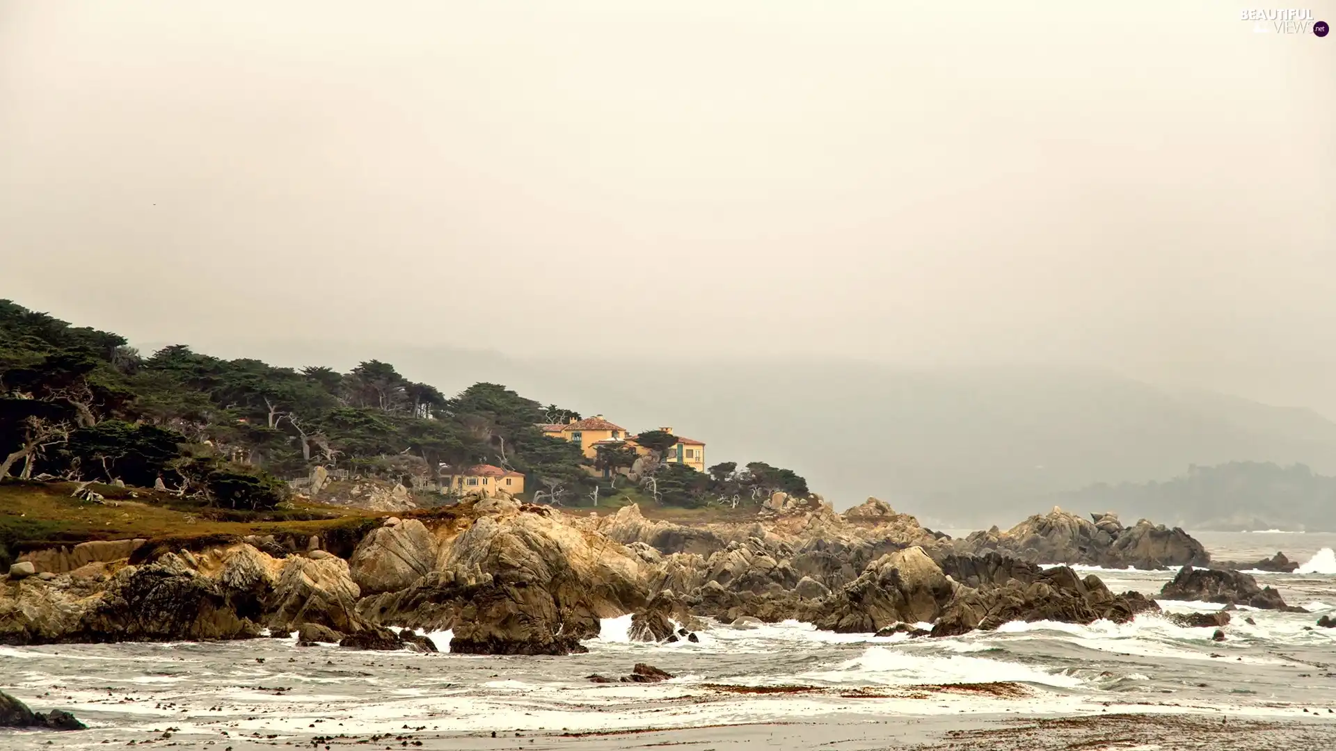 trees, viewes, Houses, rocks, Coast