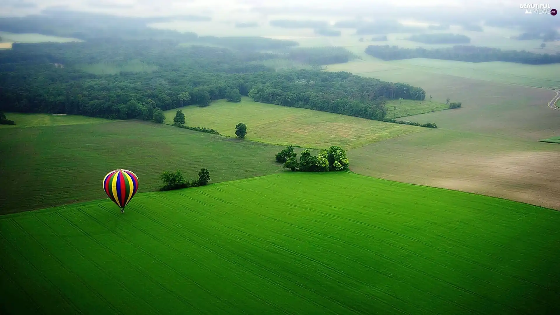 trees, viewes, color, Balloon, field