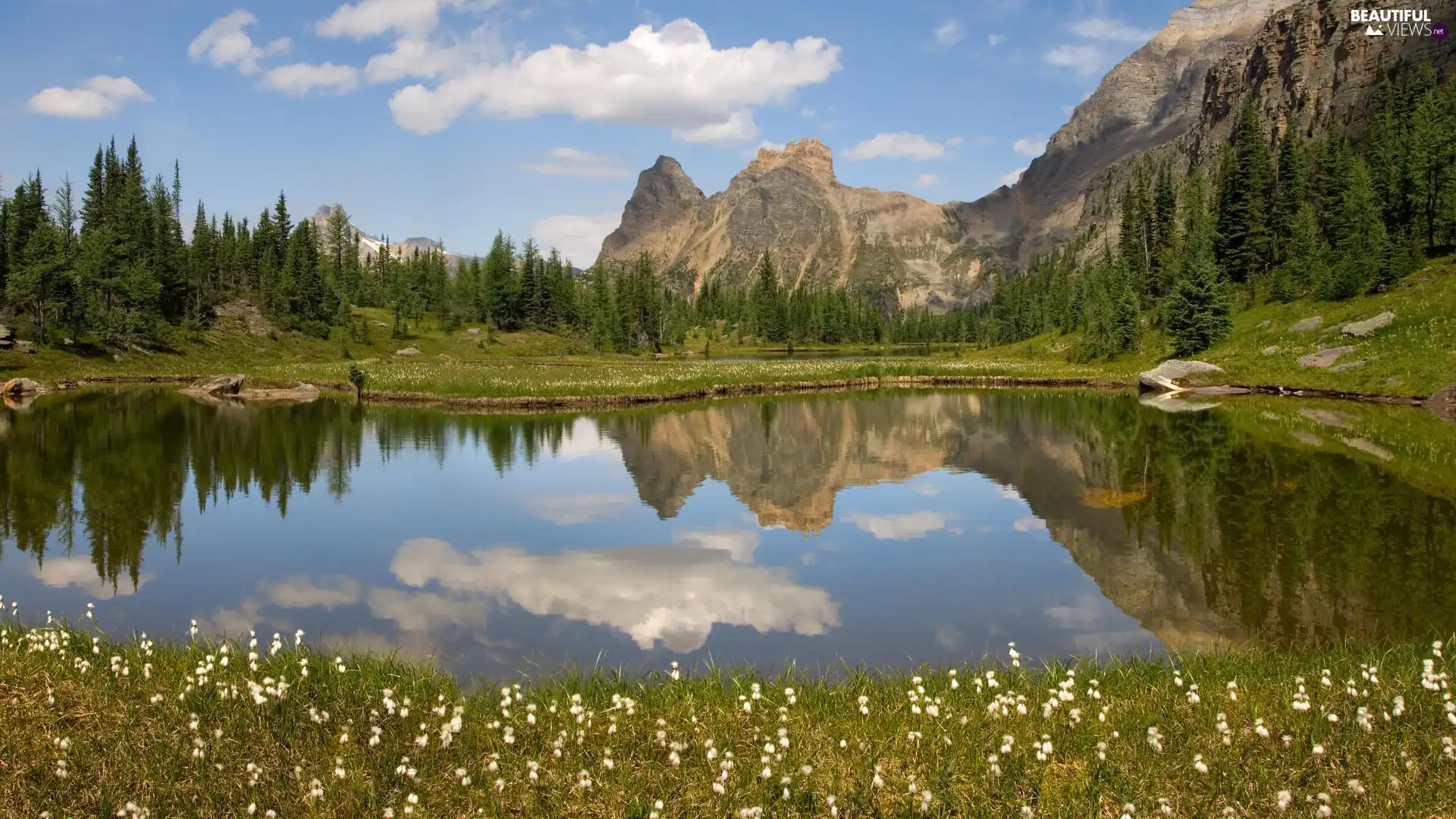 change, Mountains, trees, viewes, Flowers, lake