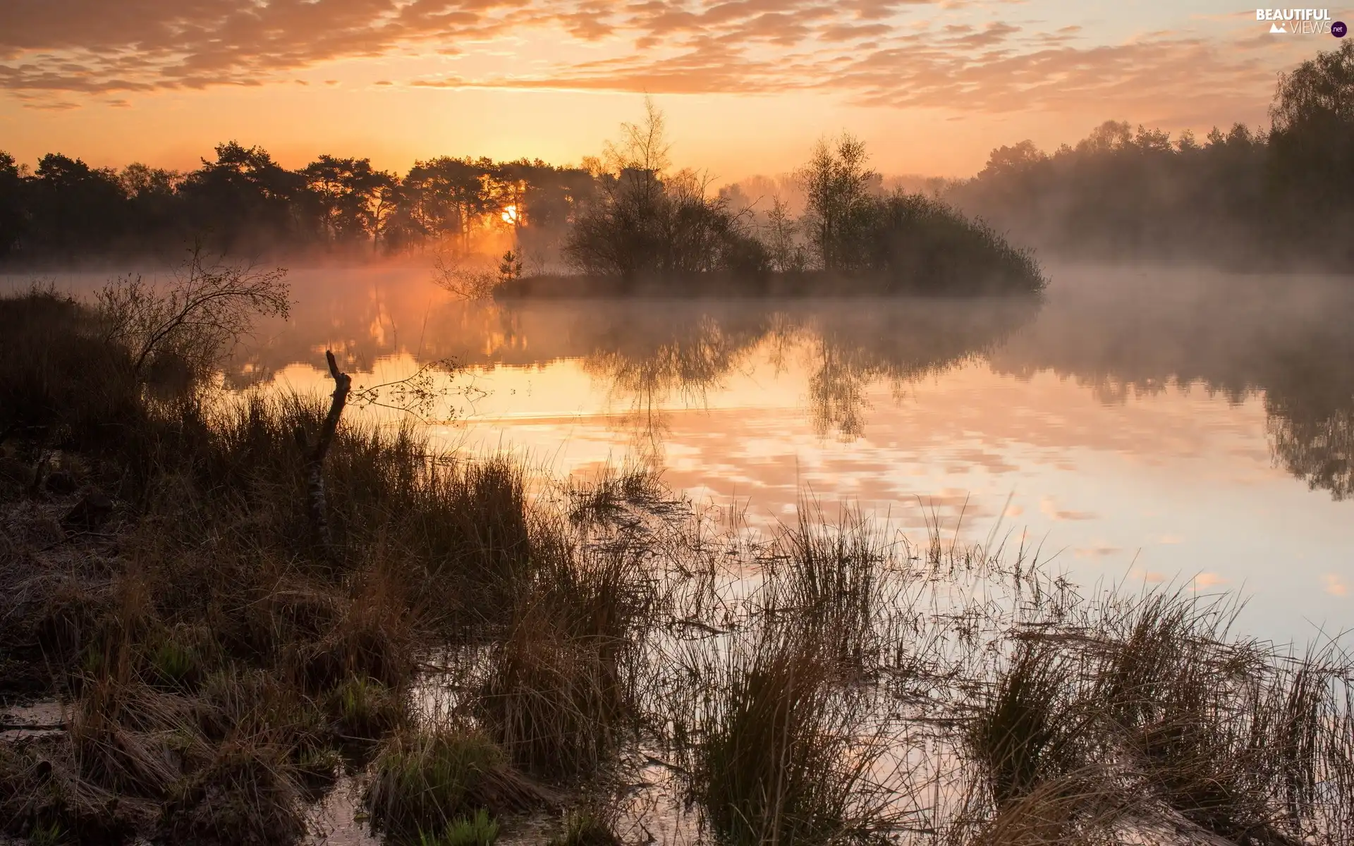 sun, lake, trees, viewes, Fog, west