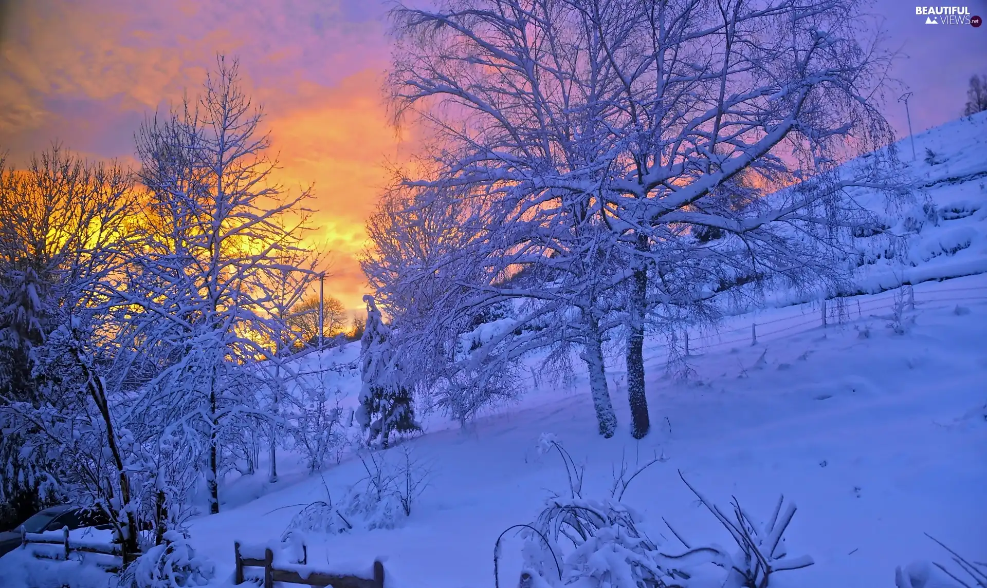 trees, viewes, winter, Snowy, Great Sunsets