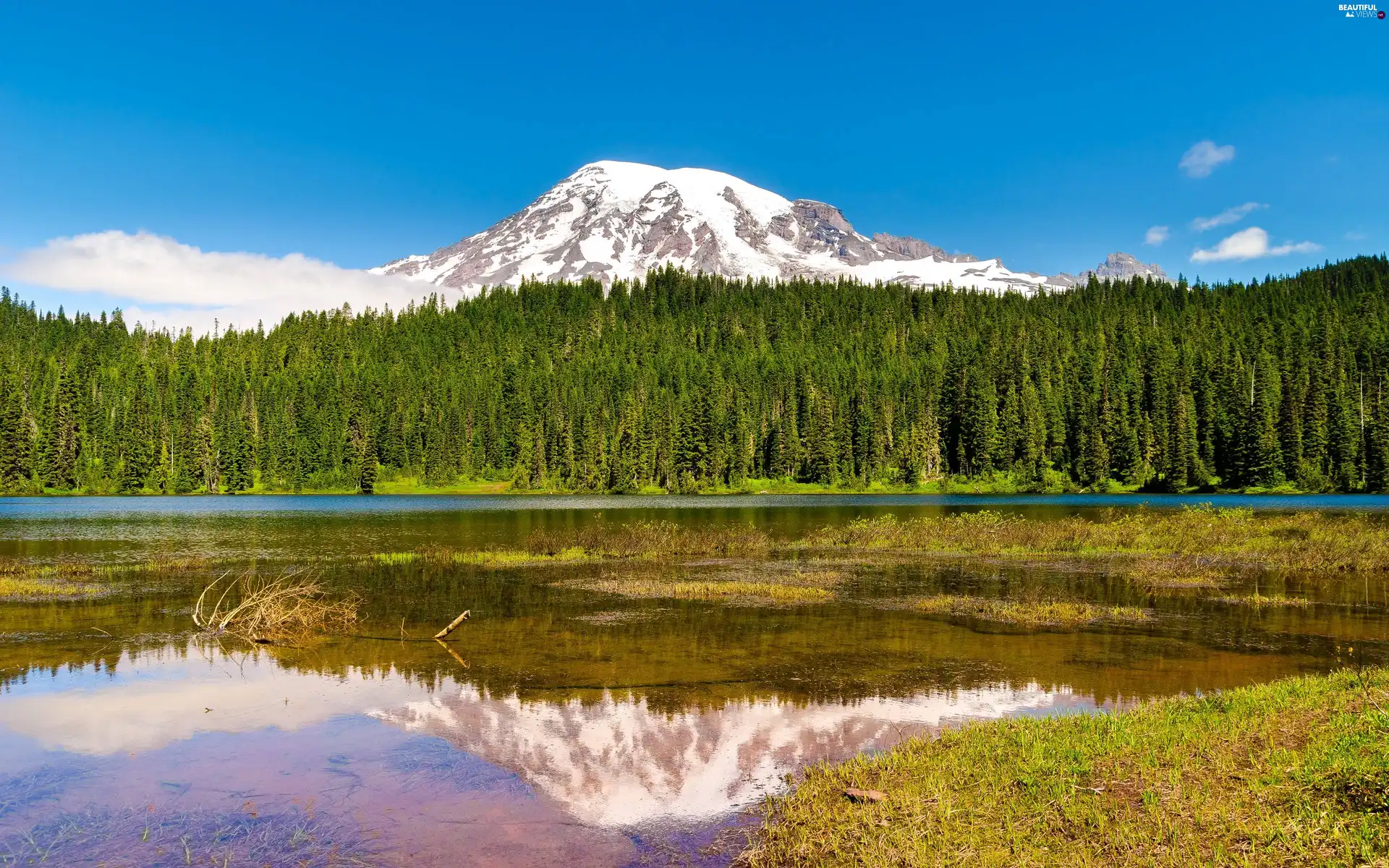 trees, viewes, reflection, Mountains, lake