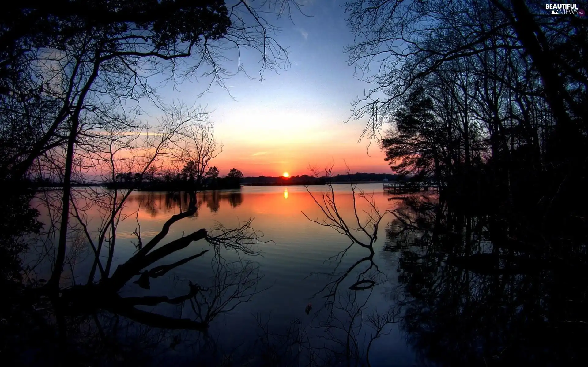 trees, viewes, west, sun, lake