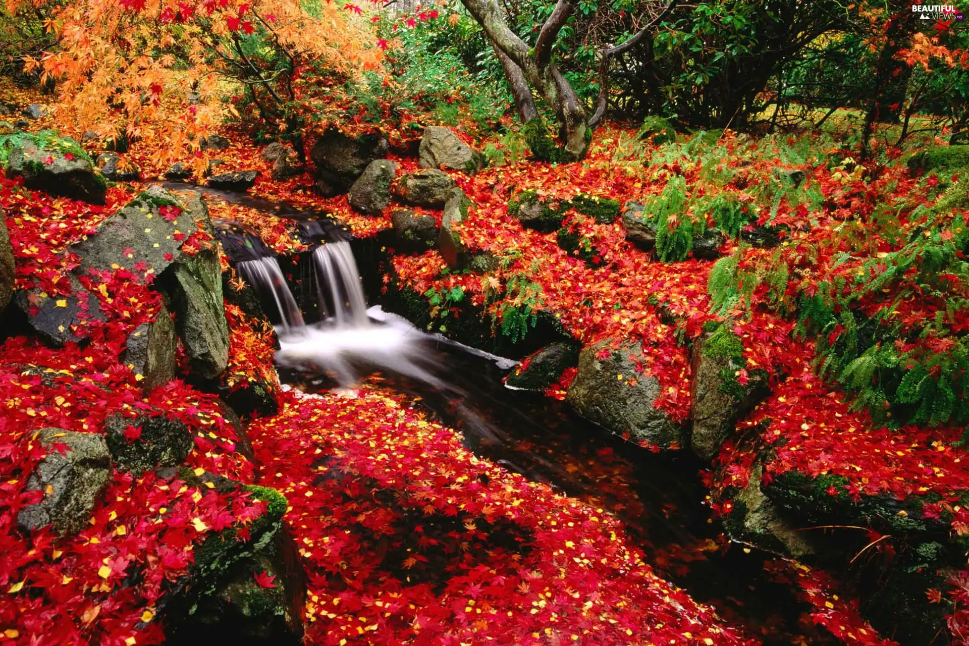 Stones, autumn, trees, viewes, Leaf, waterfall