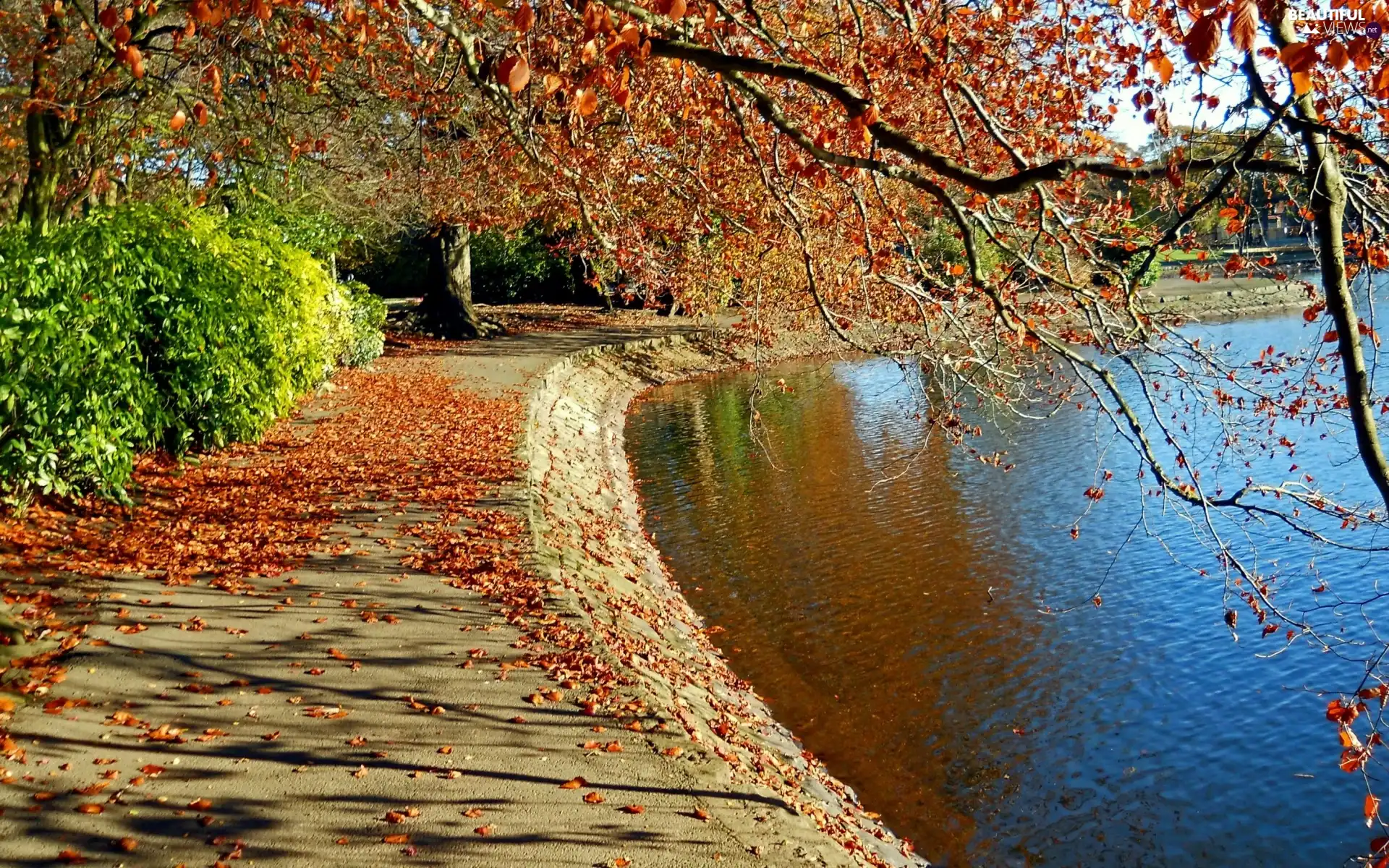 autumn, River, trees, viewes, Leaf, boulevard