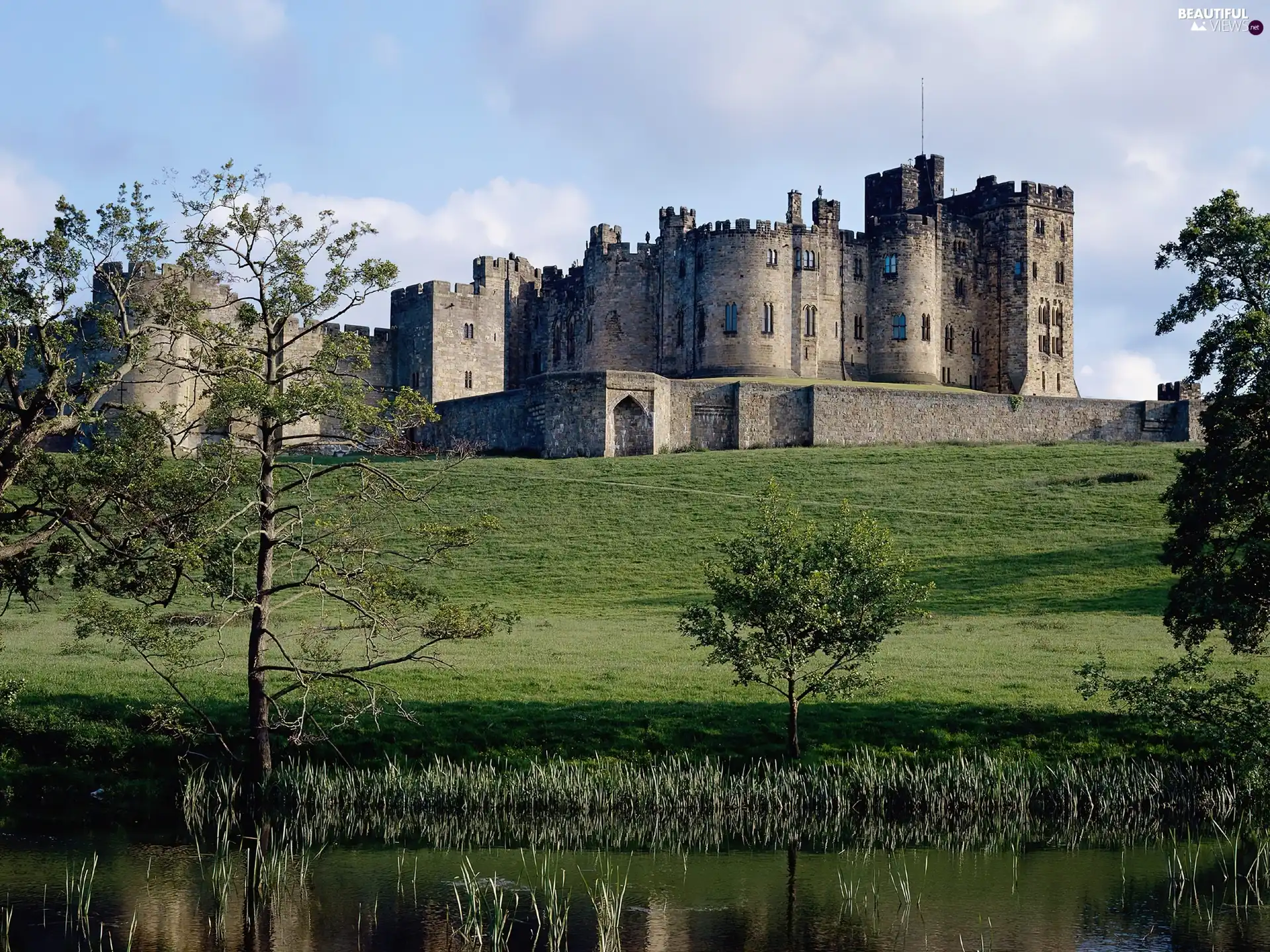 grass, Castle, trees, viewes, Meadow, brook