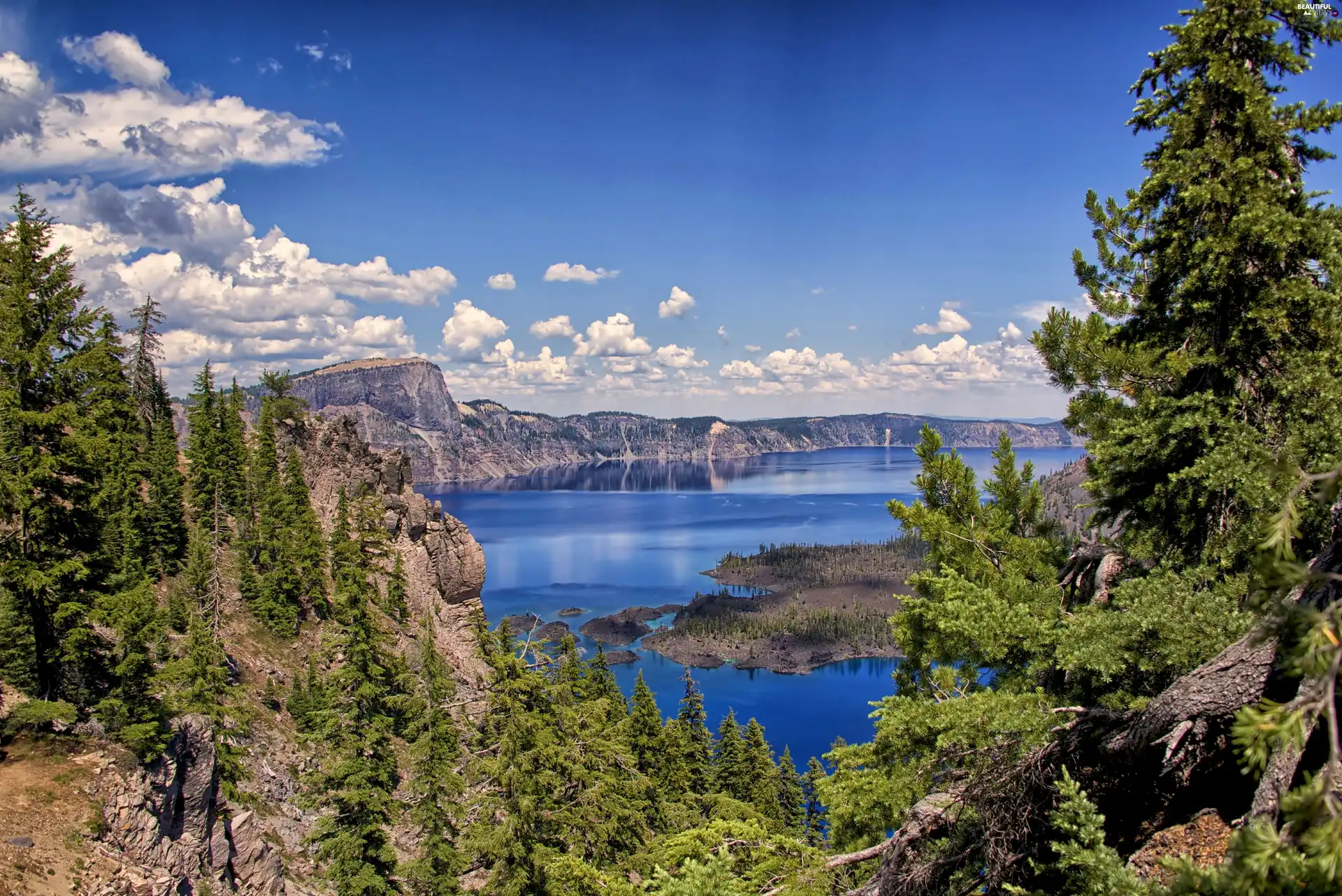 trees, viewes, lake, clouds, Mountains