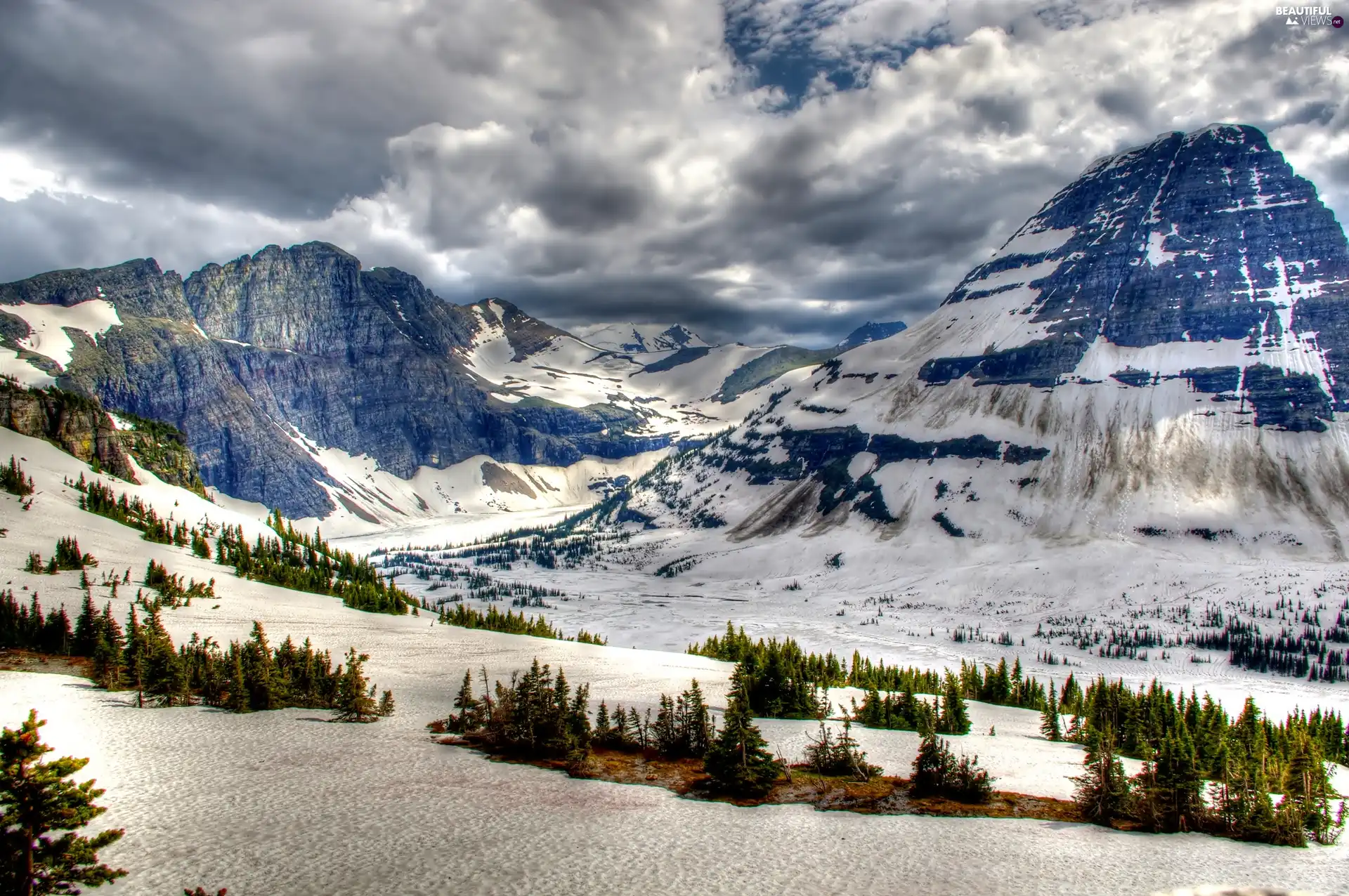 trees, viewes, snow, clouds, Mountains