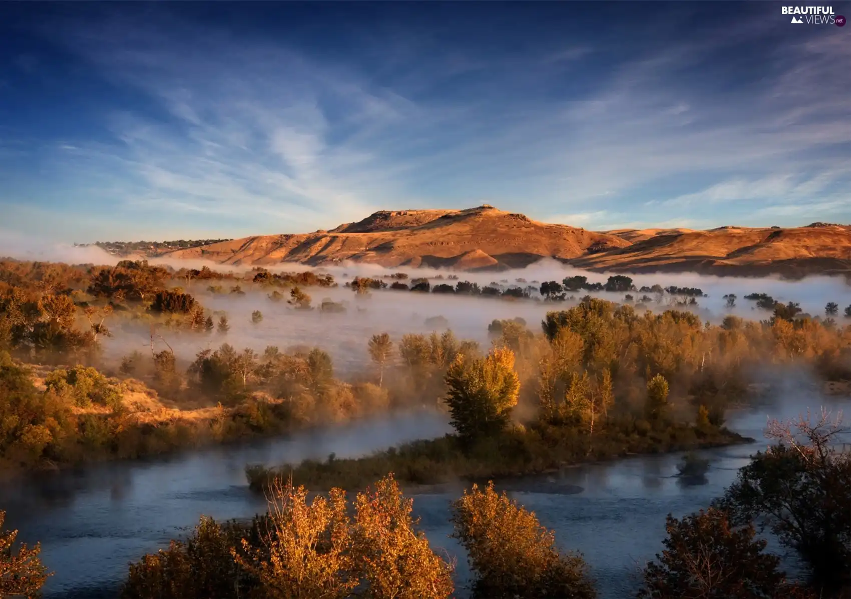 trees, viewes, River, Fog, Mountains
