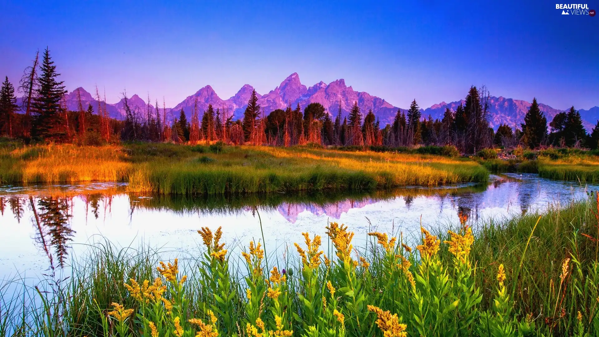 trees, viewes, River, grass, Mountains