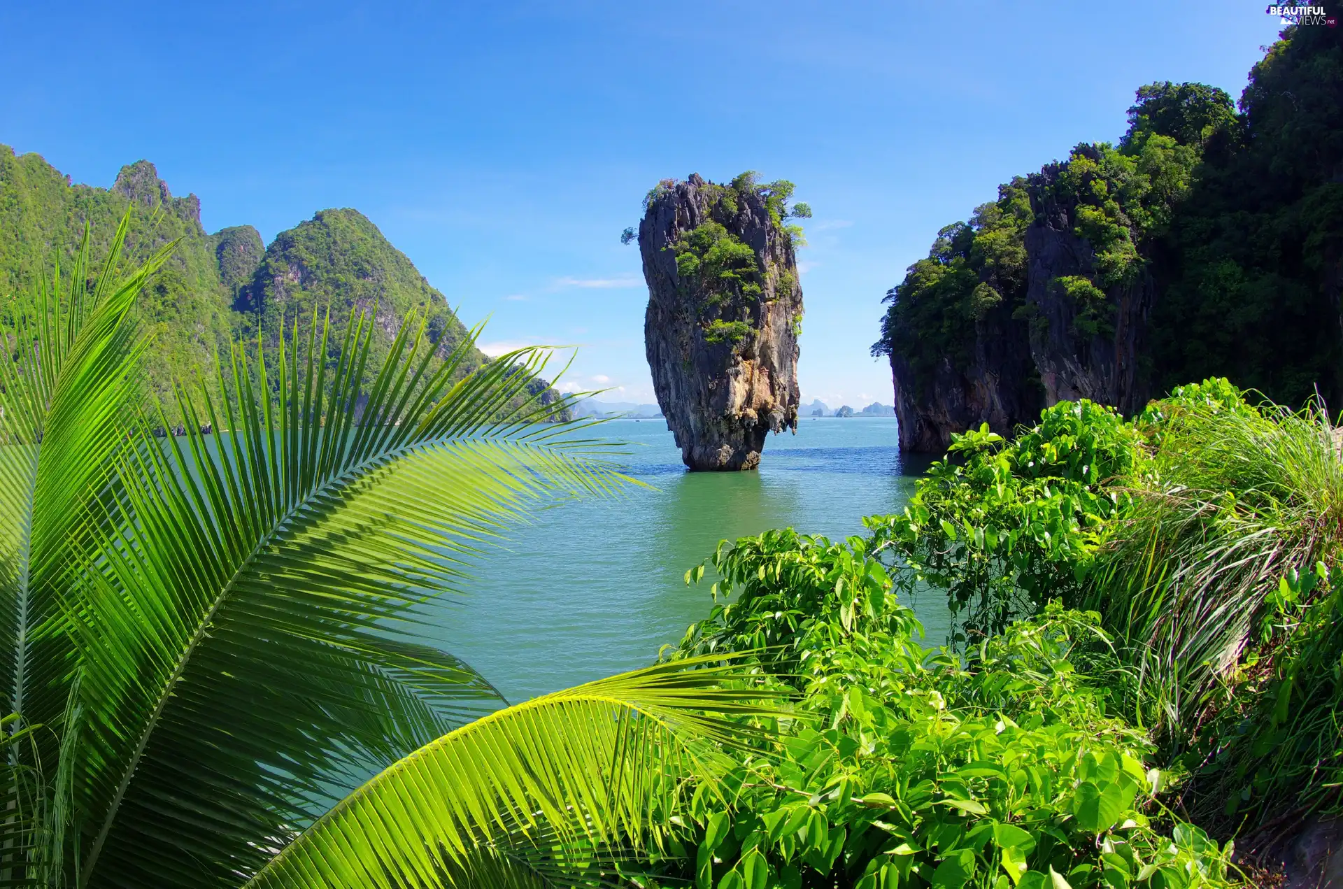 trees, viewes, rocks, Palm, Mountains