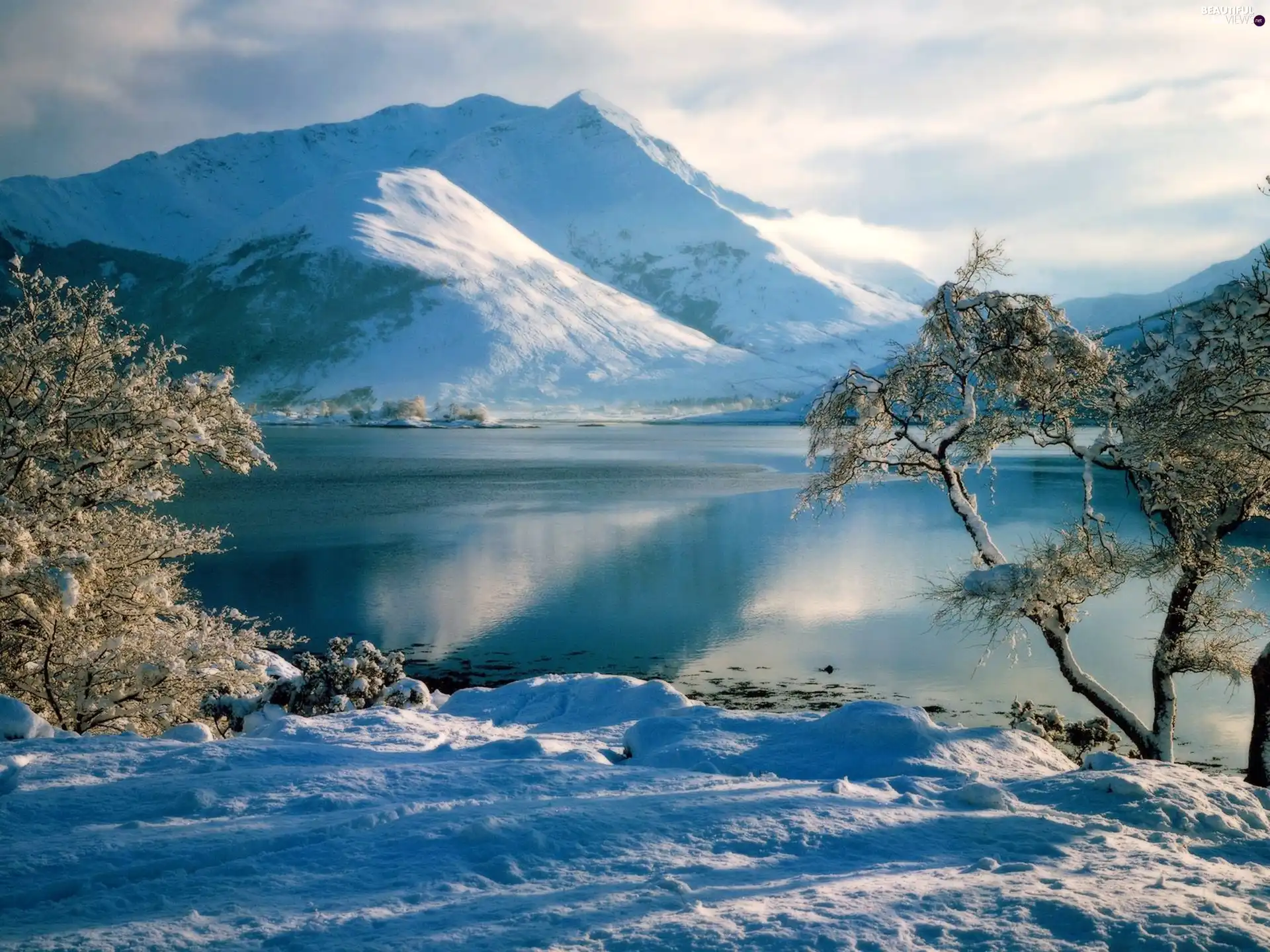 trees, viewes, lake, snow, Mountains