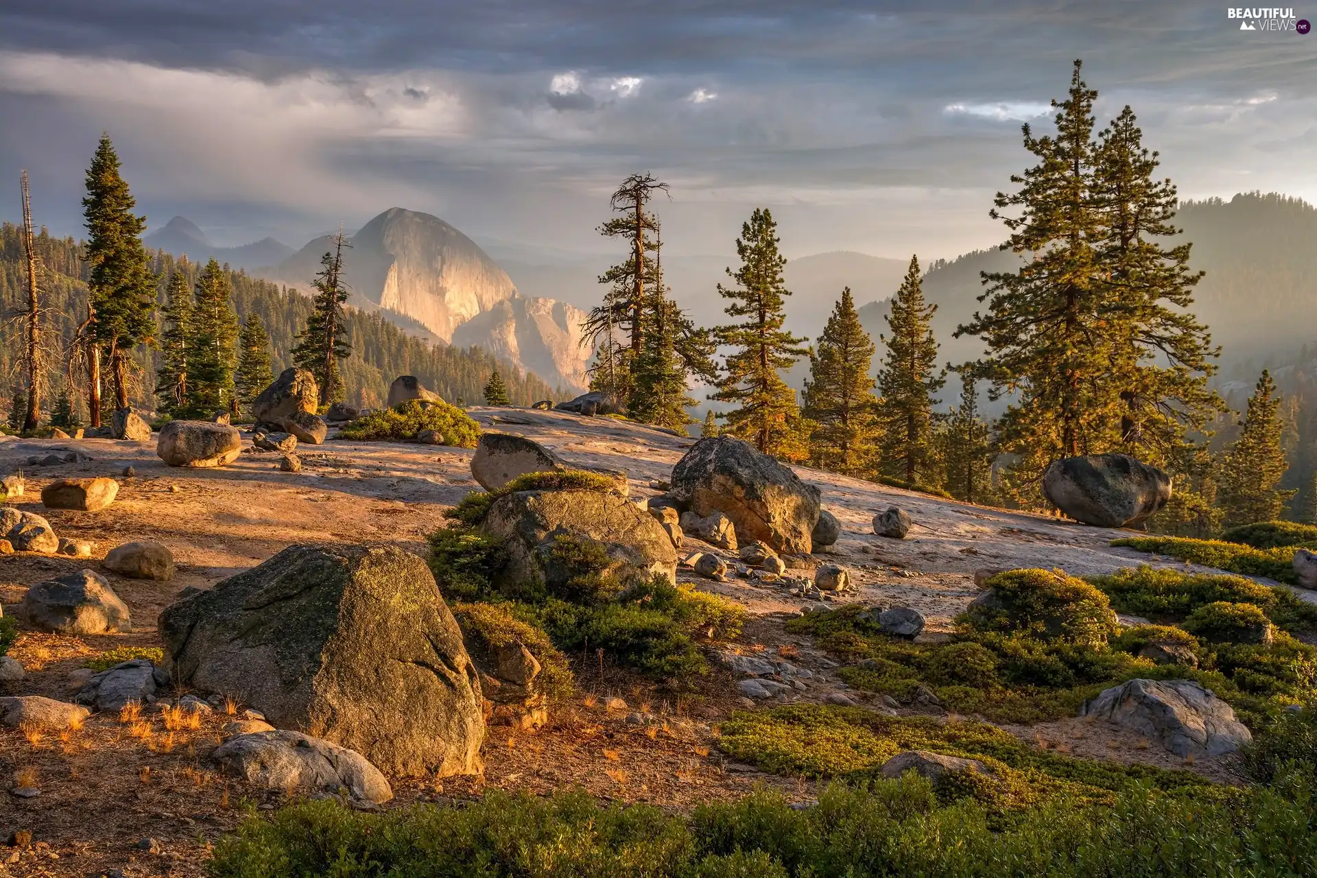 trees, viewes, boulders, Stones, Mountains