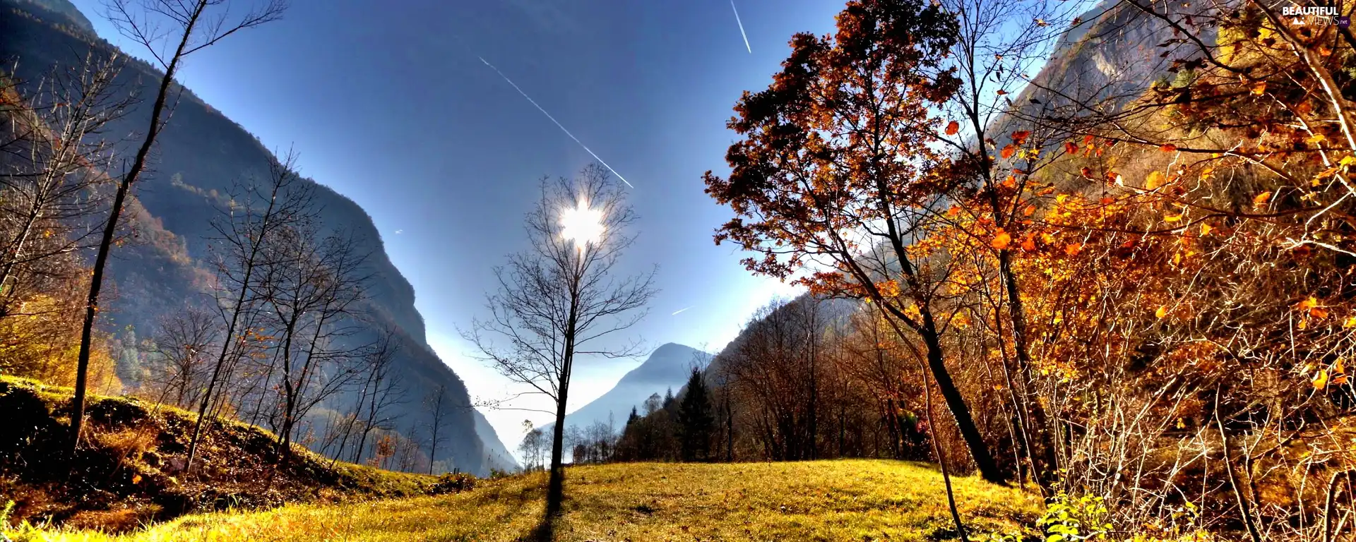 trees, viewes, rays, sun, Mountains