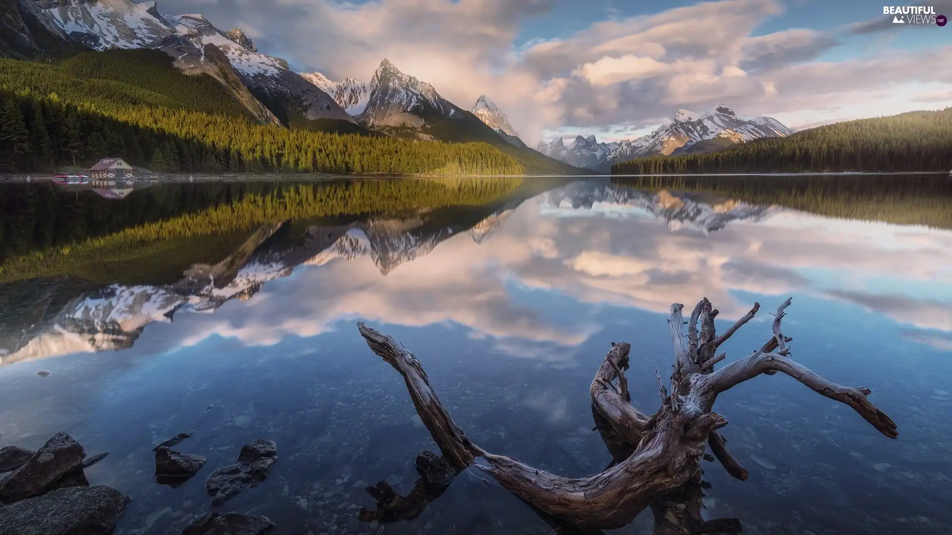 trees, Lod on the beach, clouds, lake, Mountains, viewes, reflection