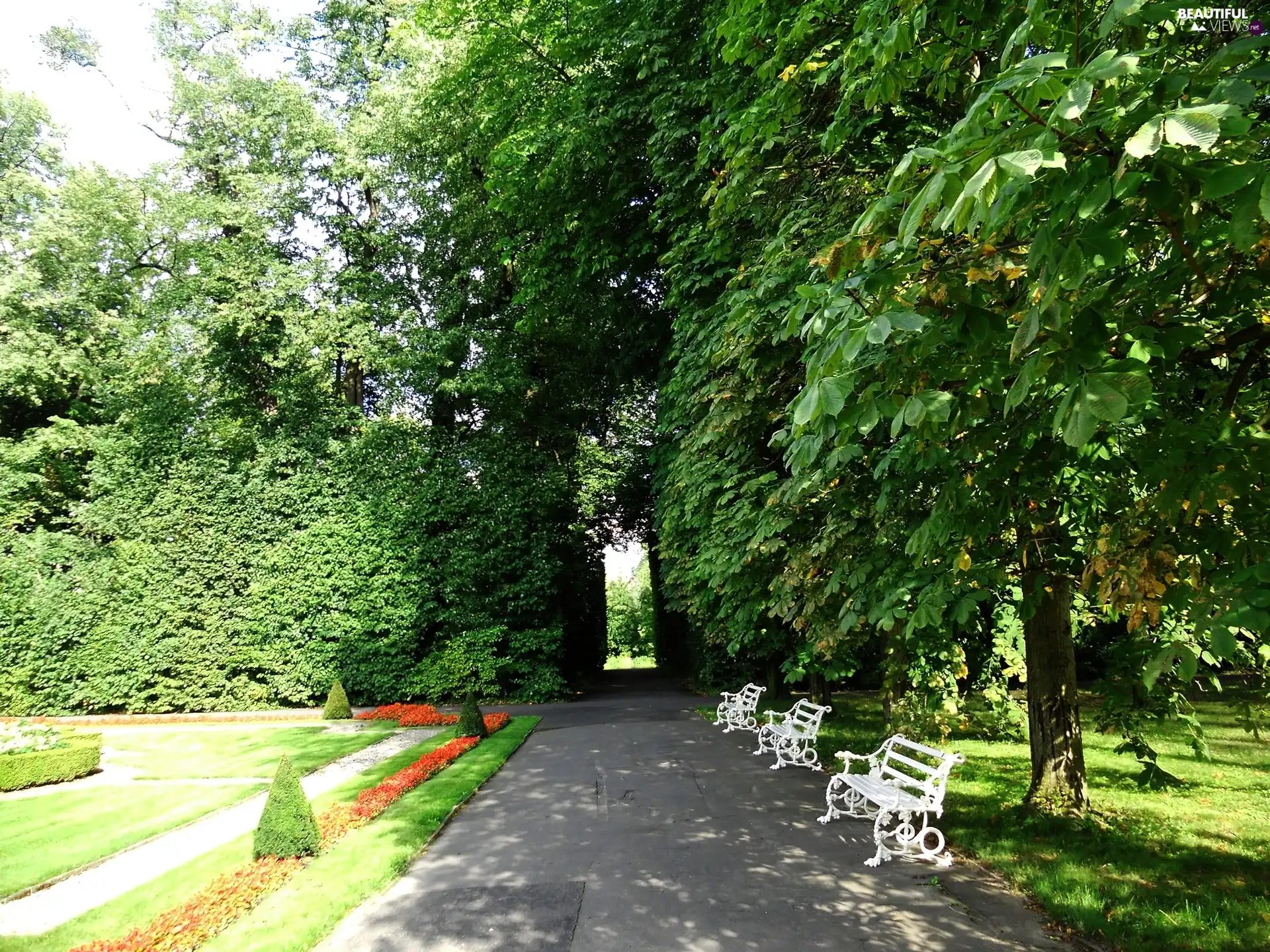 trees, viewes, alley, bench, Park