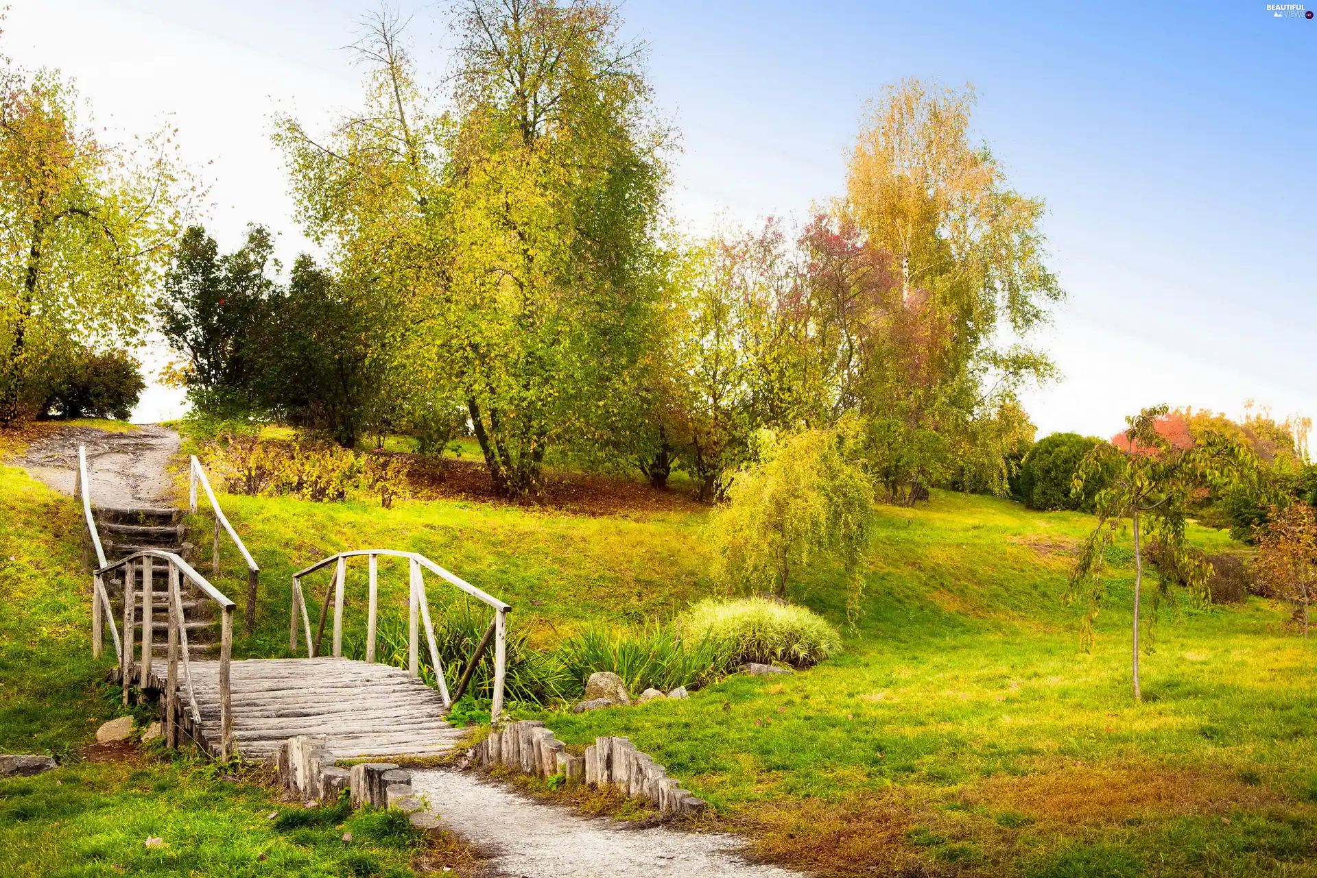 trees, viewes, bridges, wooden, Park