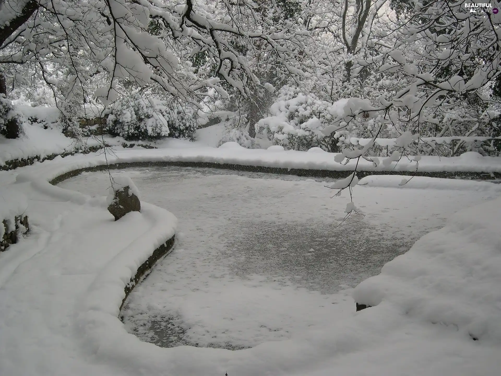 trees, viewes, Heart, snow, Pond - car