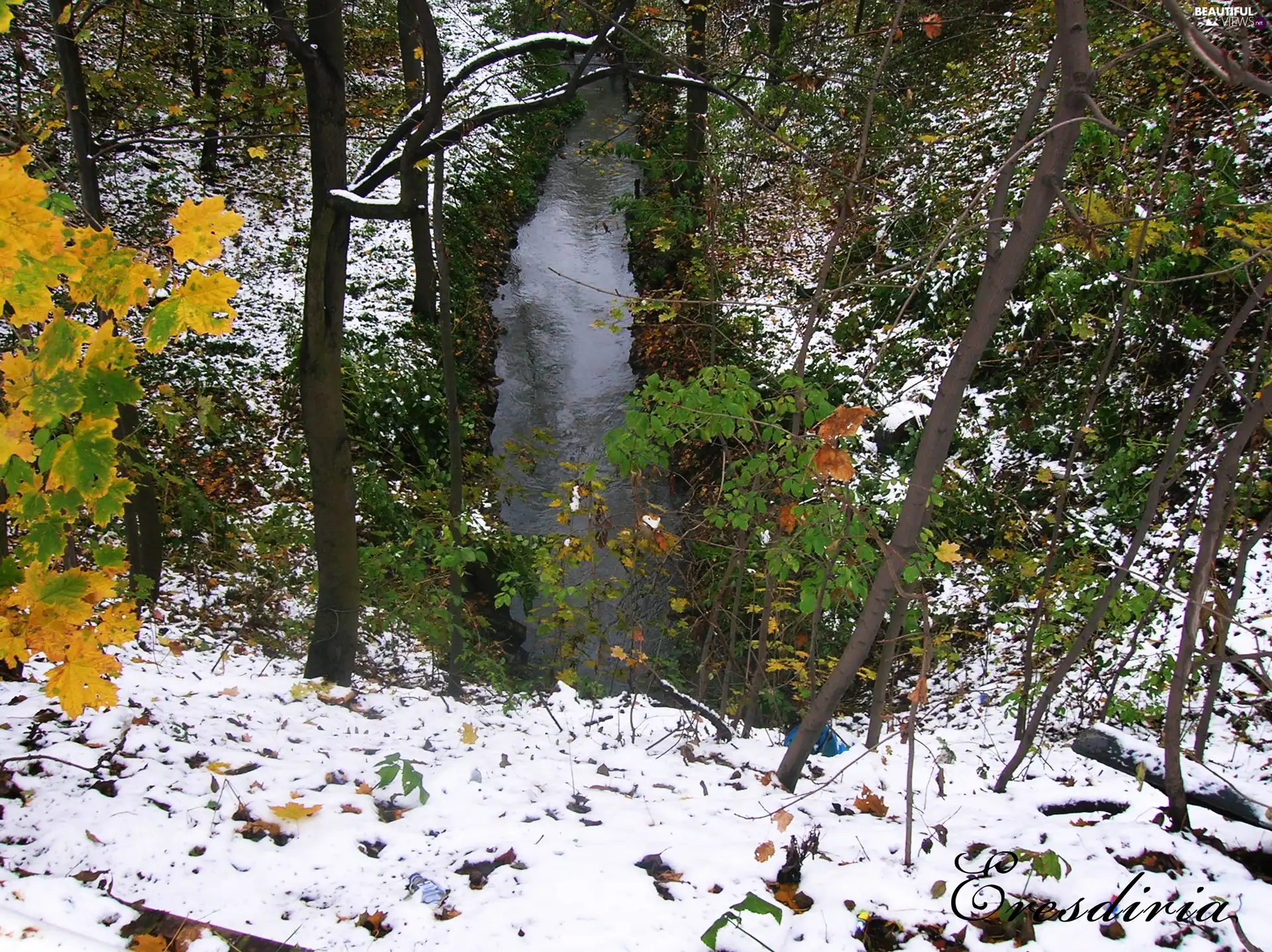 View, autumn, trees, viewes, River, winter