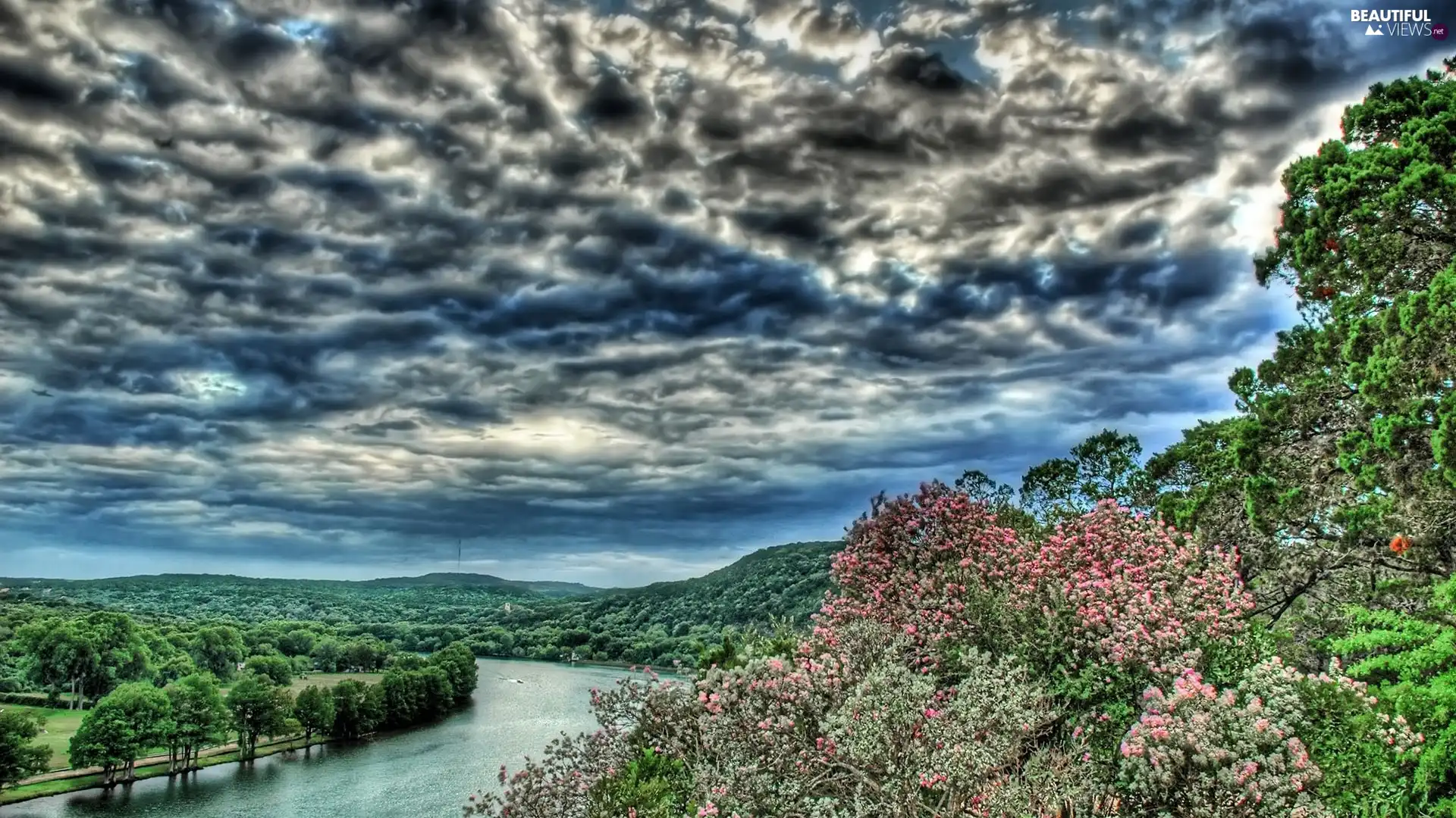 trees, viewes, storm, clouds, River