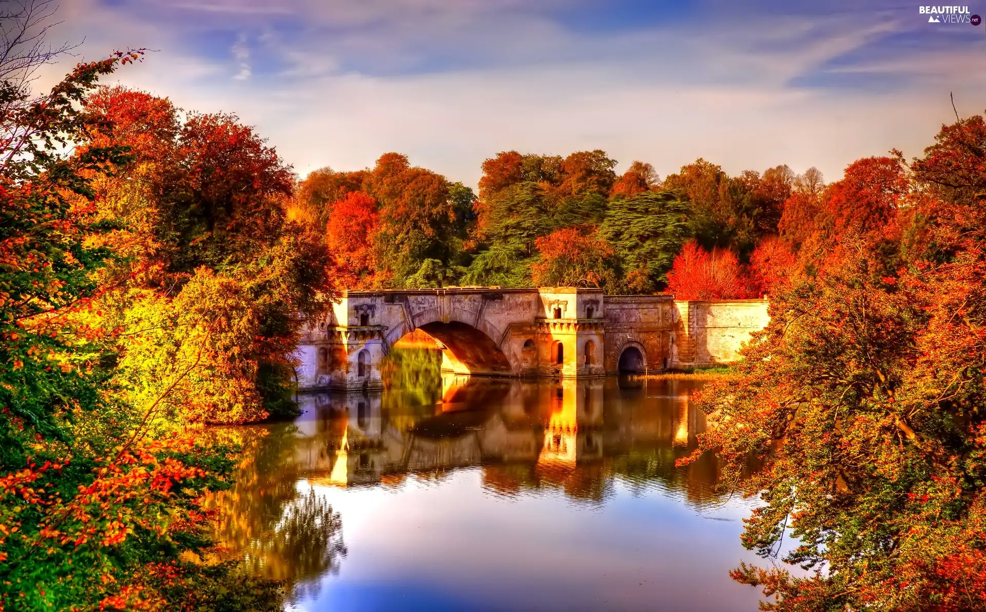 trees, viewes, bridges, color, River