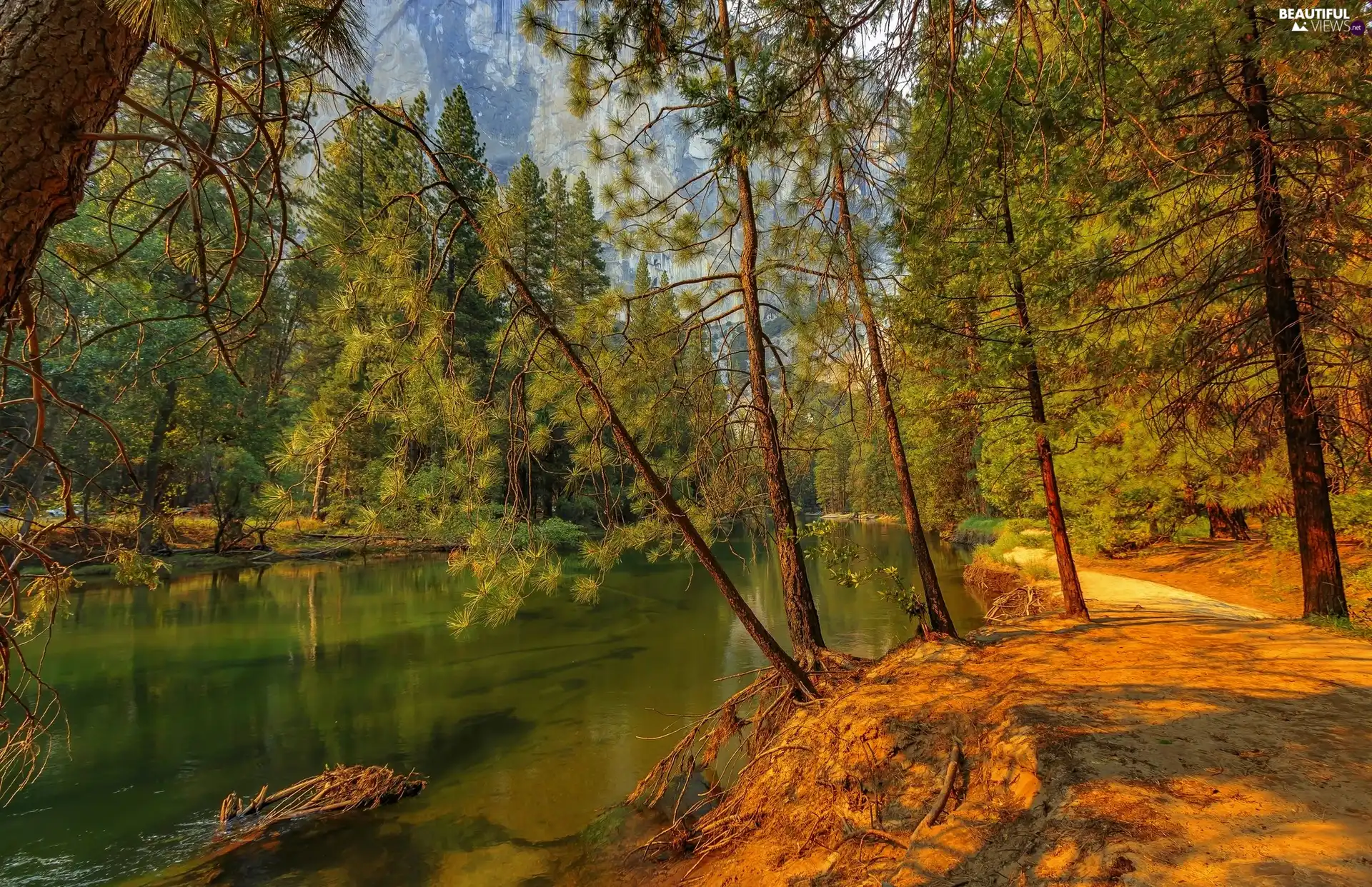 trees, viewes, Path, forest, River