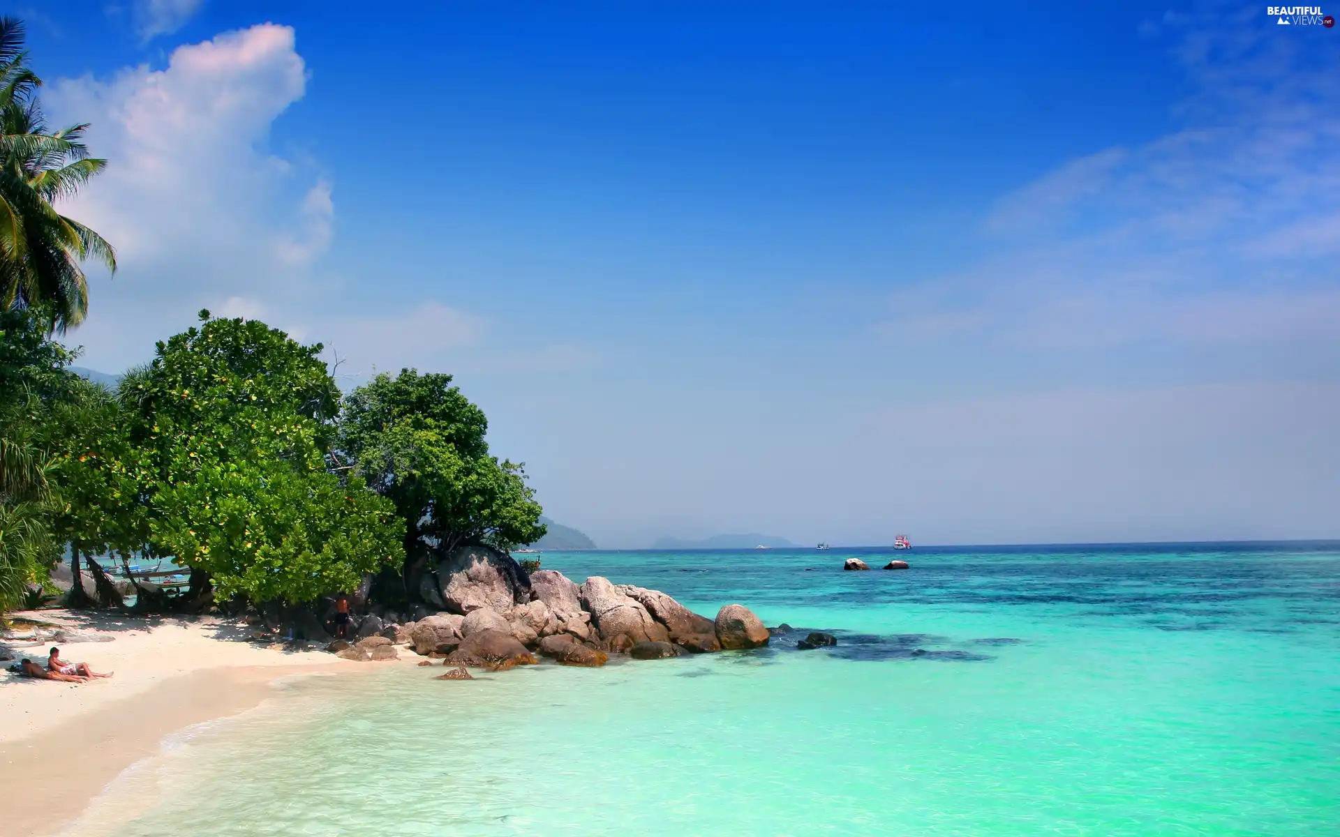 trees, viewes, Beaches, Stones, sea