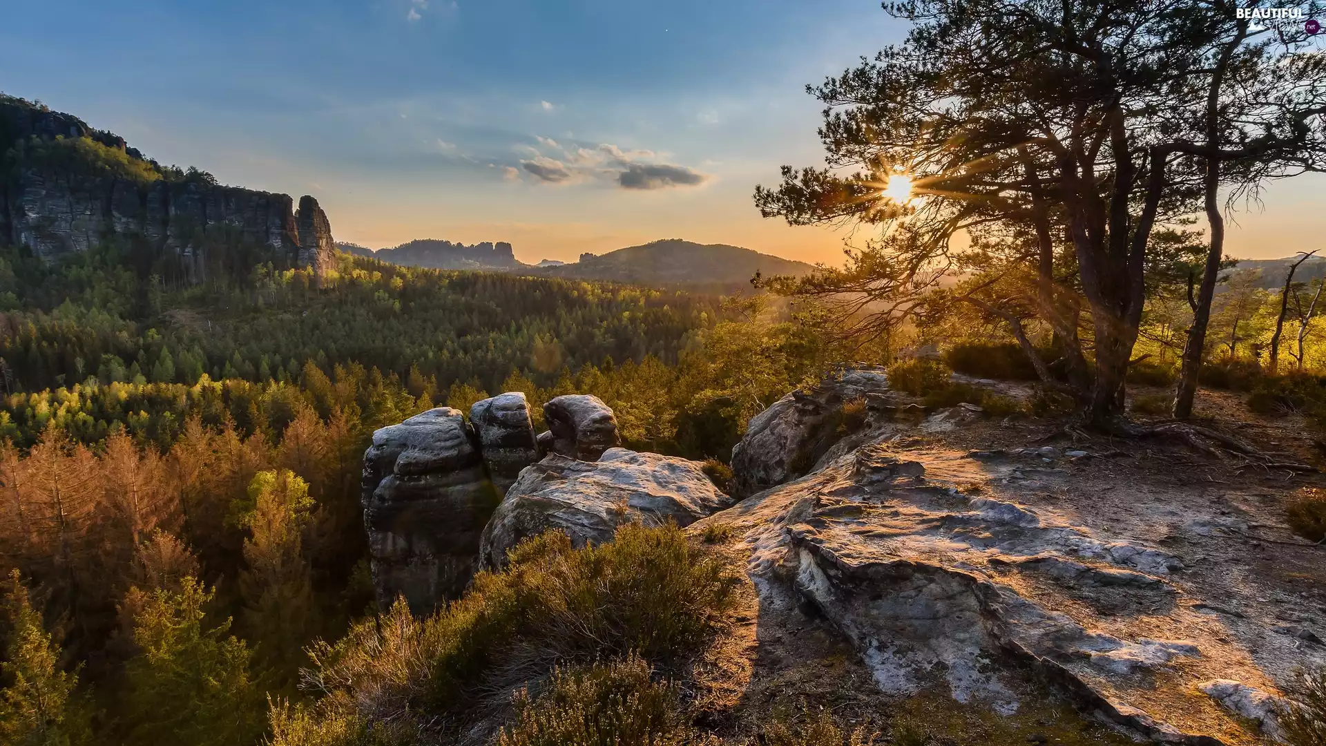 trees, Děčínská vrchovina, Saxon Switzerland National Park, Germany, viewes, rocks