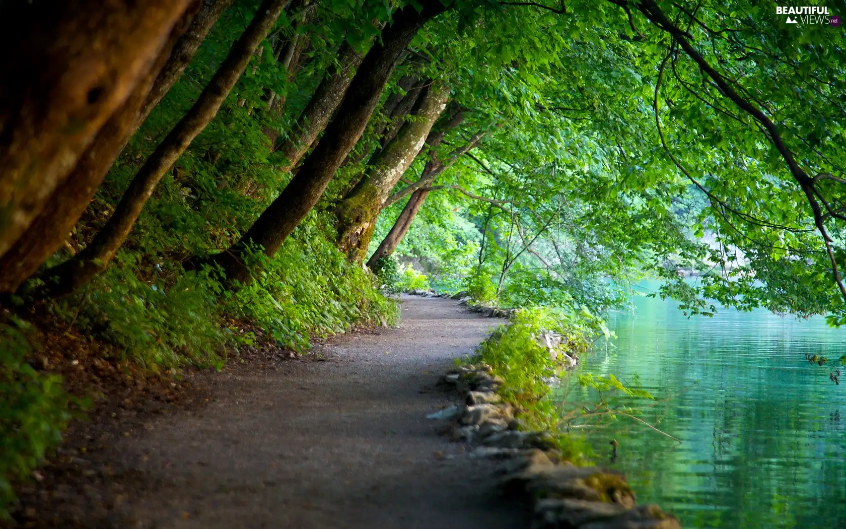 viewes, Path, water, trees, Plitvice National Park