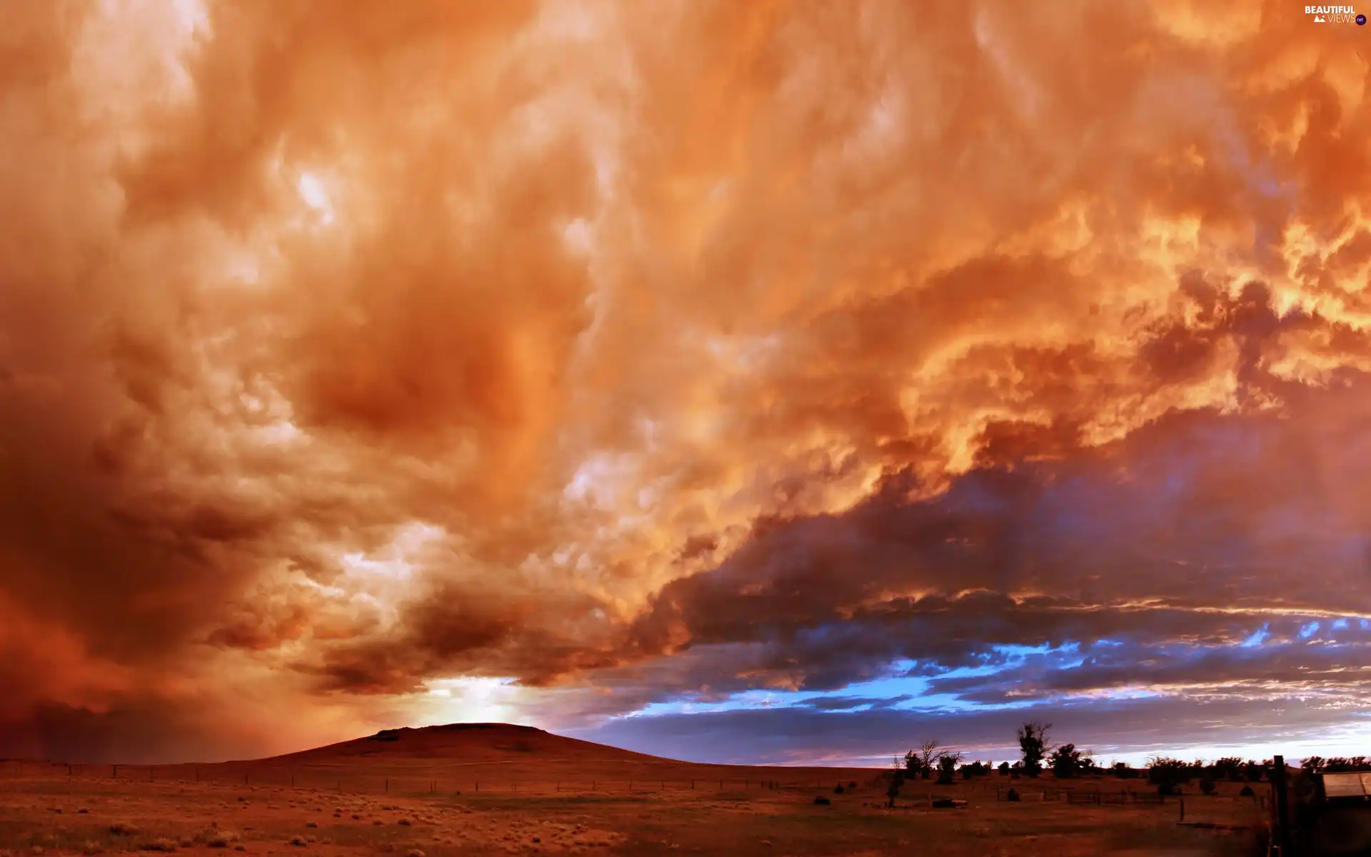 trees, viewes, sun, clouds, west