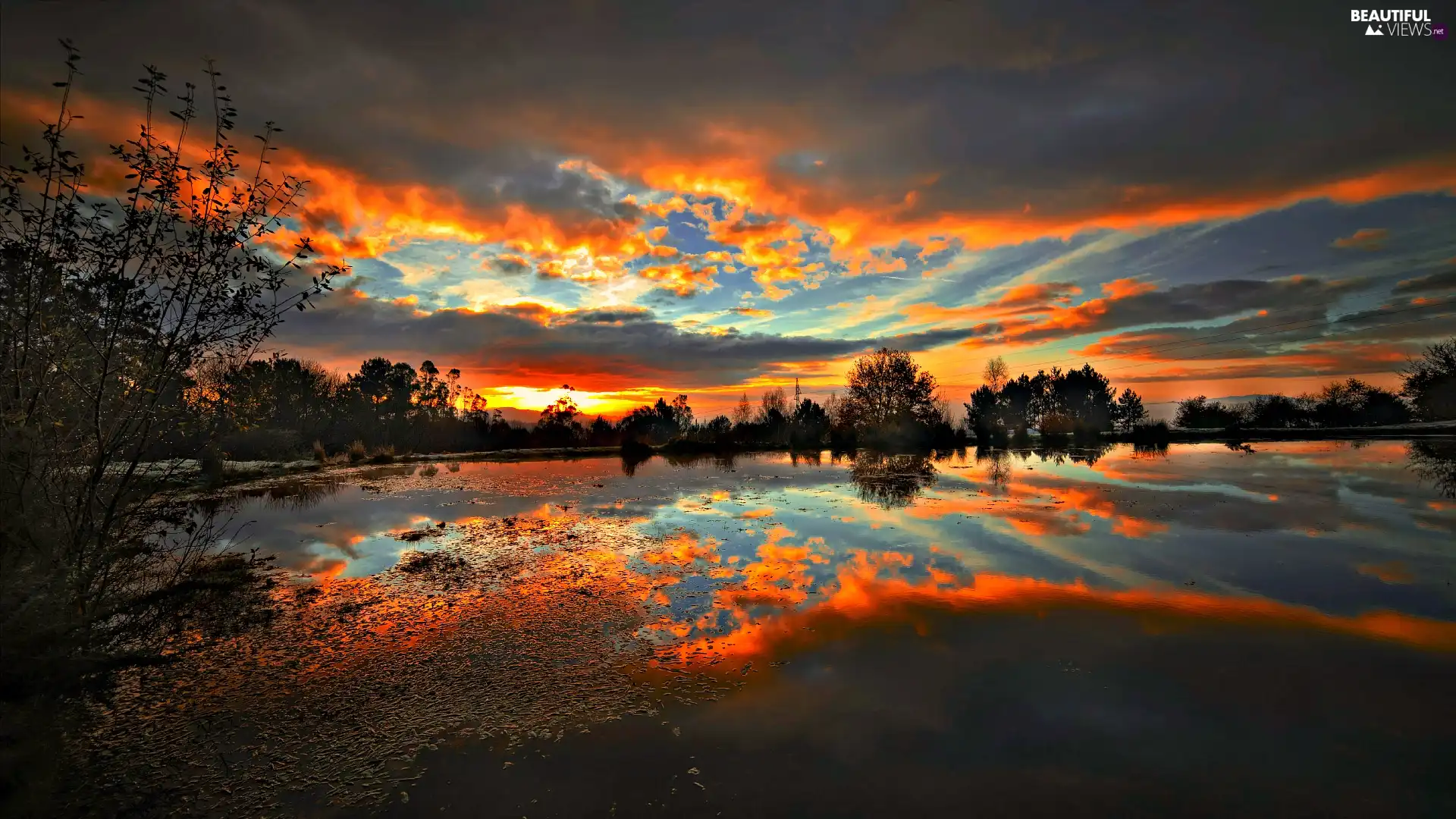 trees, viewes, sun, lake, west