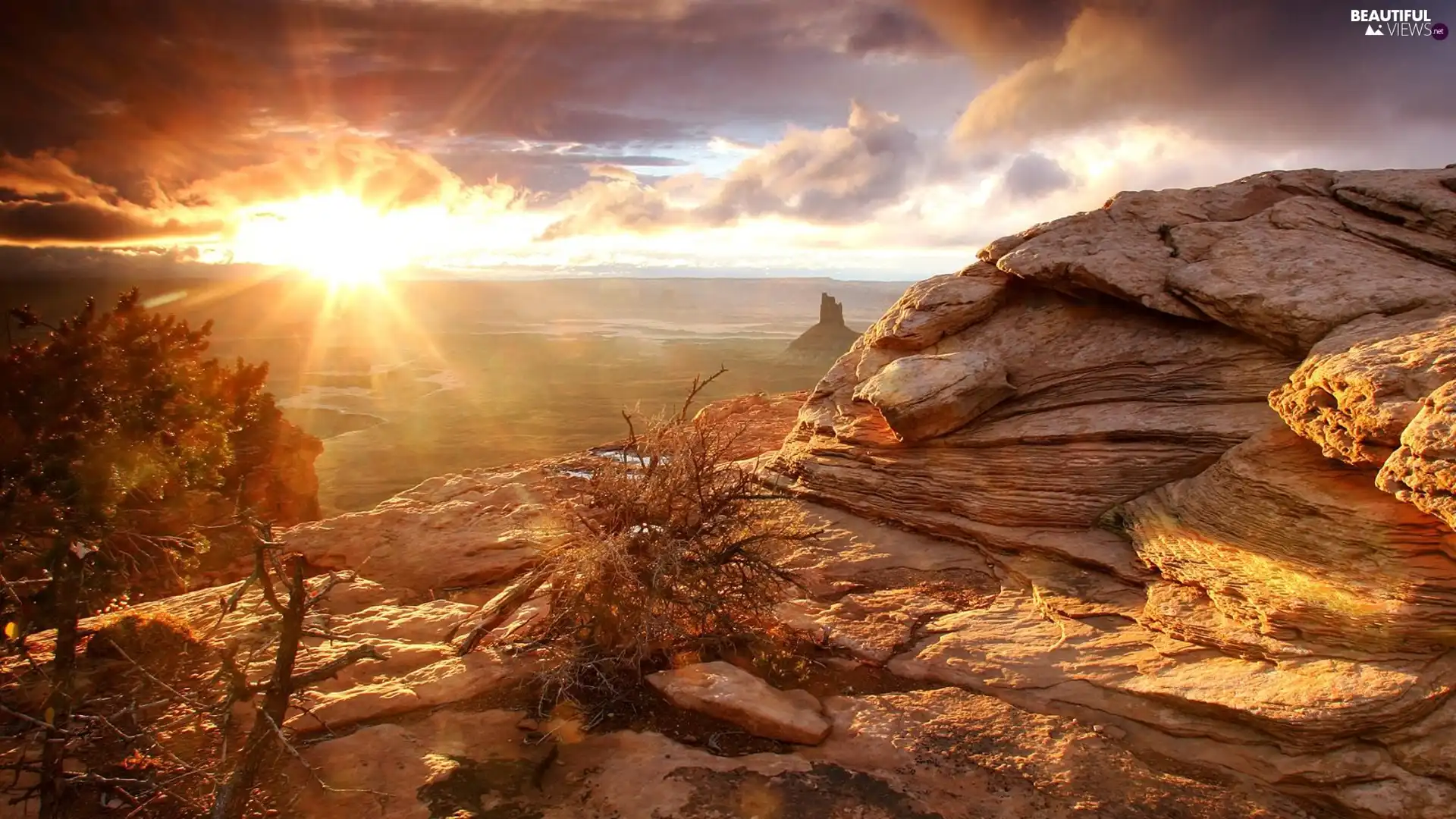 trees, viewes, sun, rocks, west