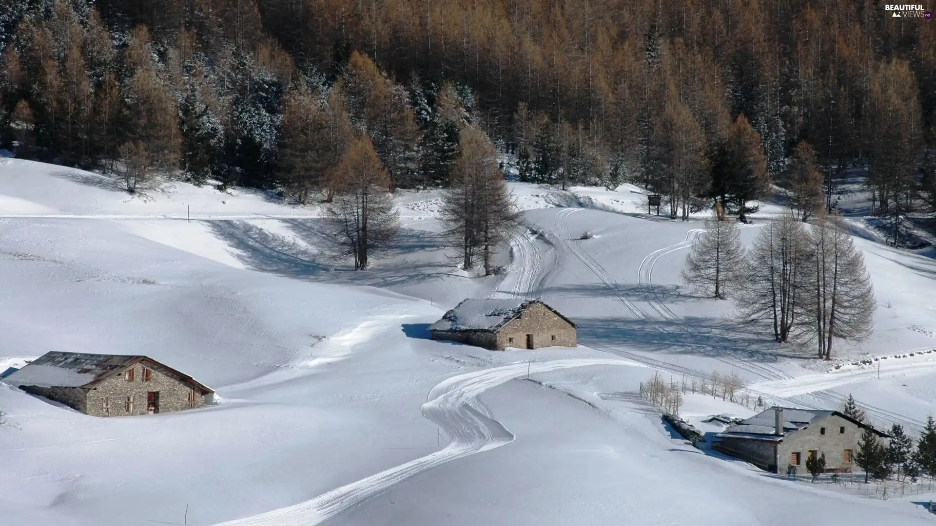 trees, viewes, snow, Houses, winter