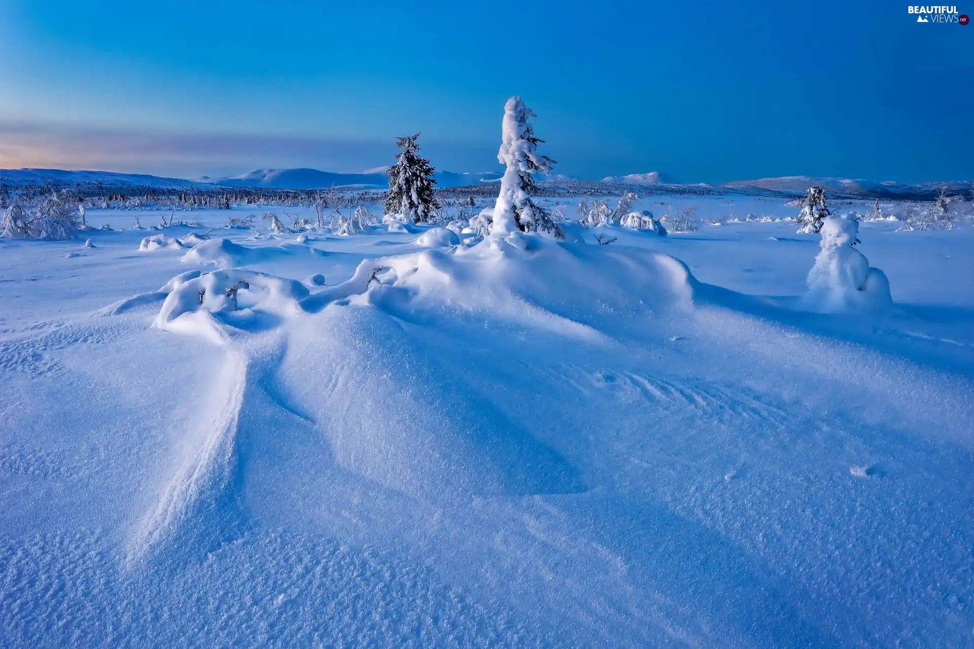 trees, viewes, Mountains, Snowy, winter