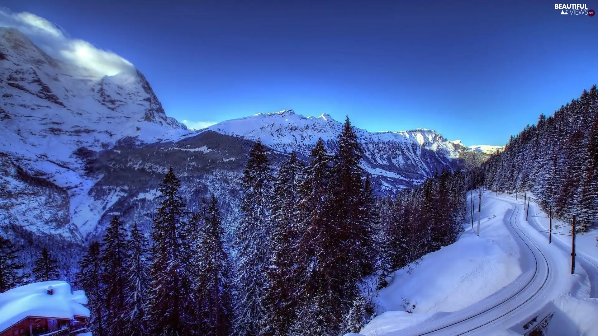 trees, viewes, Mountains, Way, winter