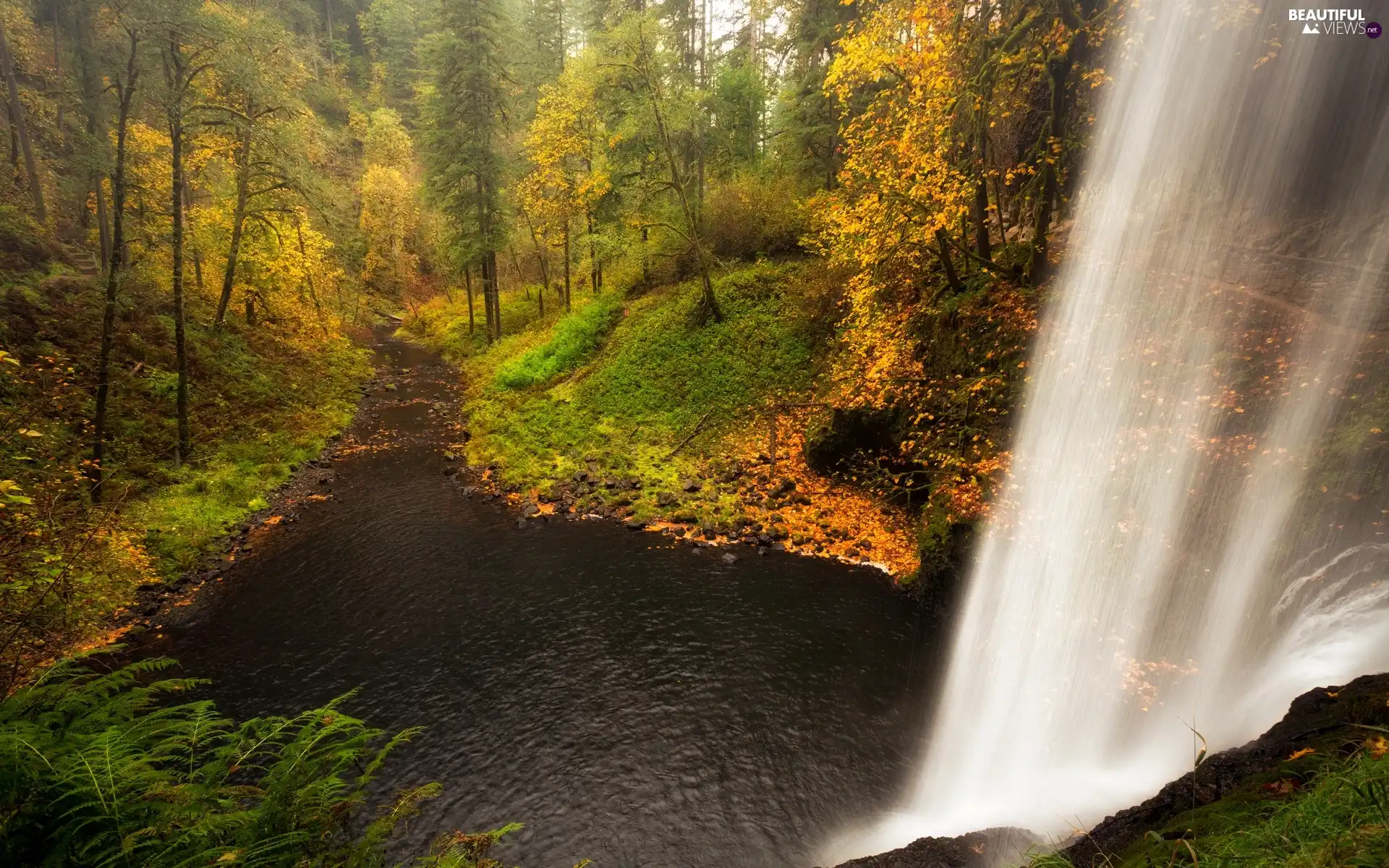 viewes, forest, waterfall, trees, autumn, River, VEGETATION