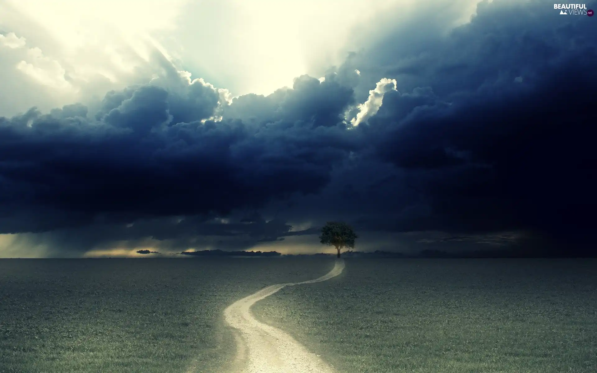 trees, clouds, Way