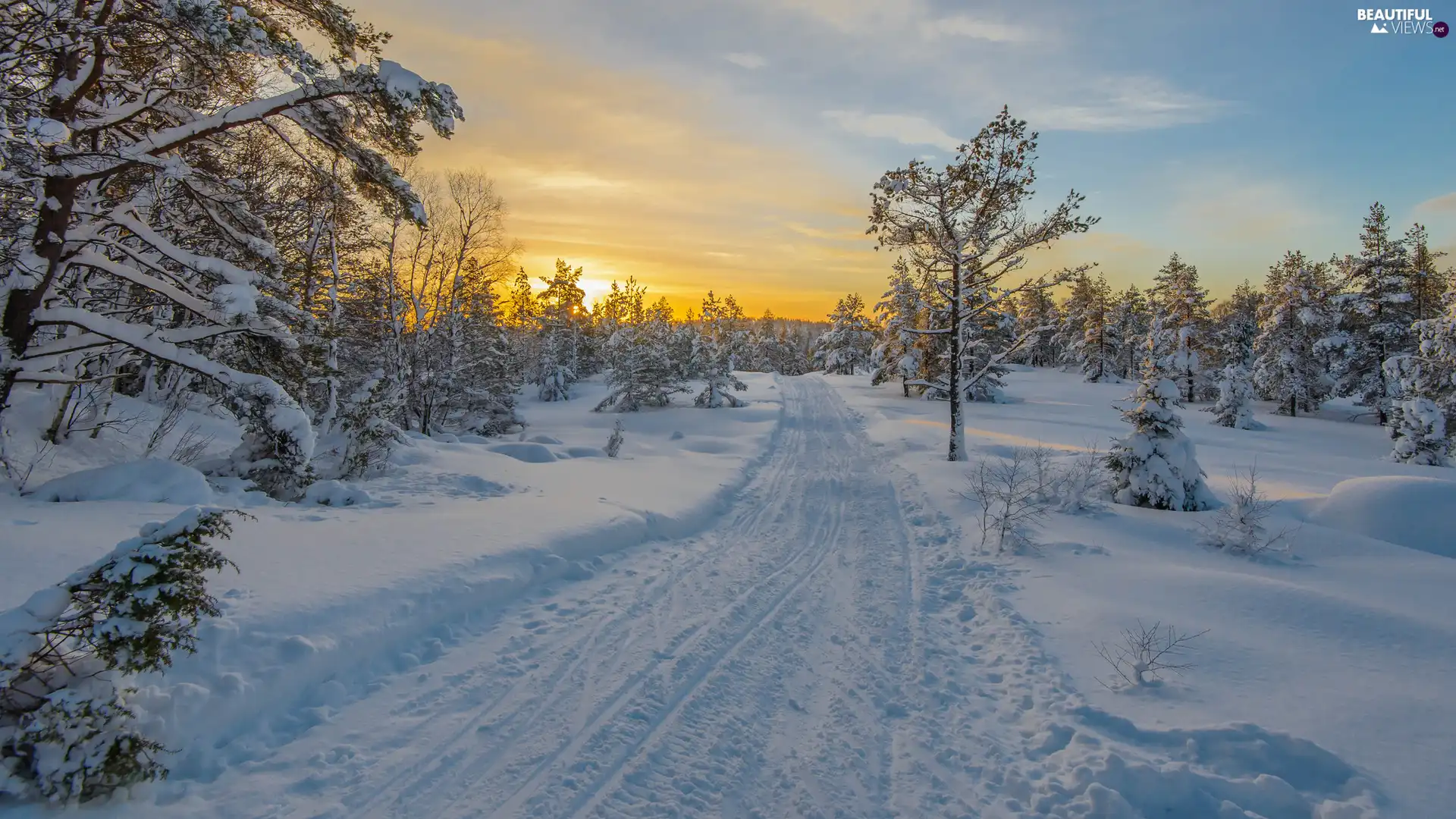 trees, viewes, Great Sunsets, forest, Sky, Way, winter, snow