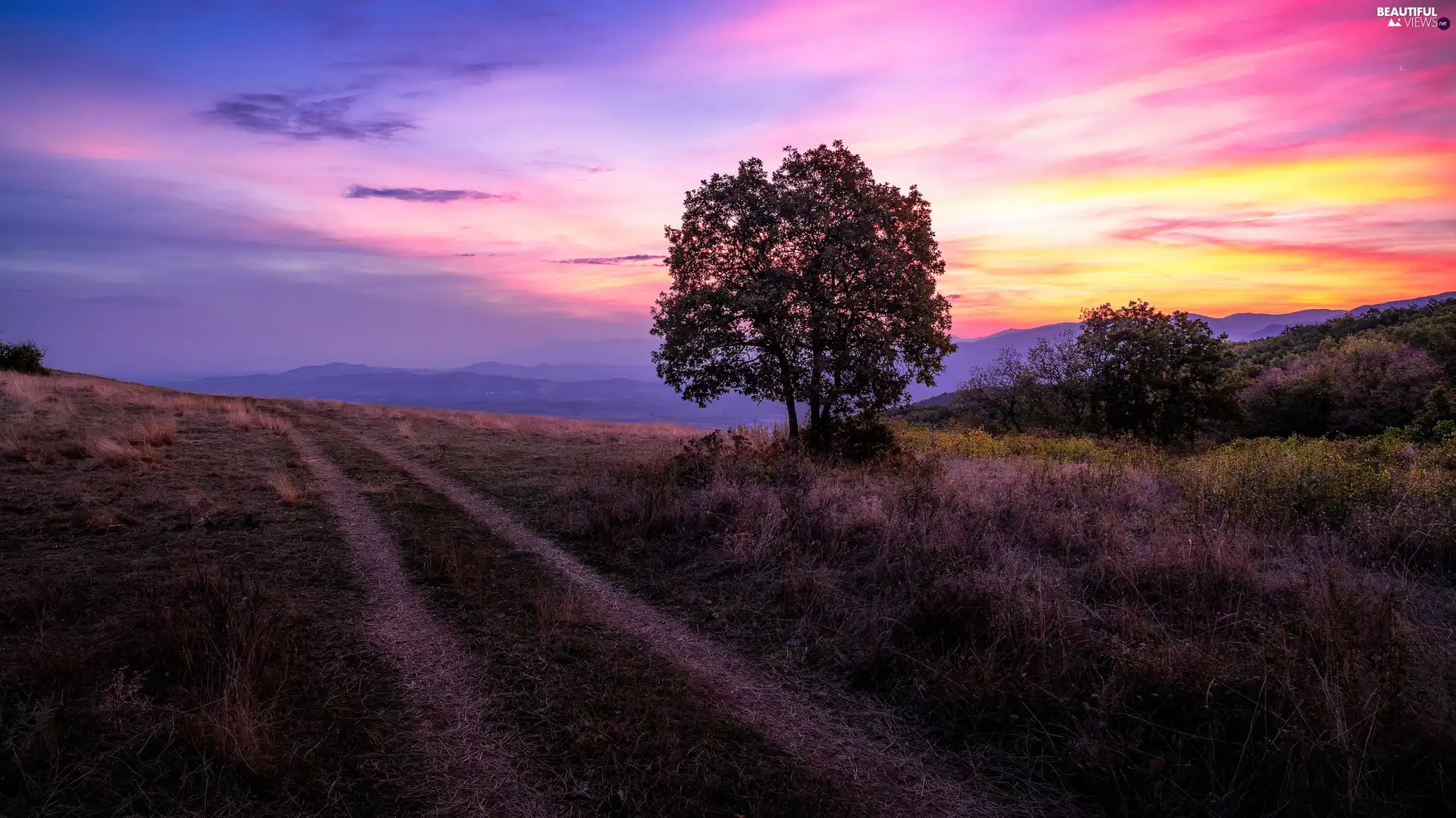 Great Sunsets, Way, trees, Hill, Mountains, grass