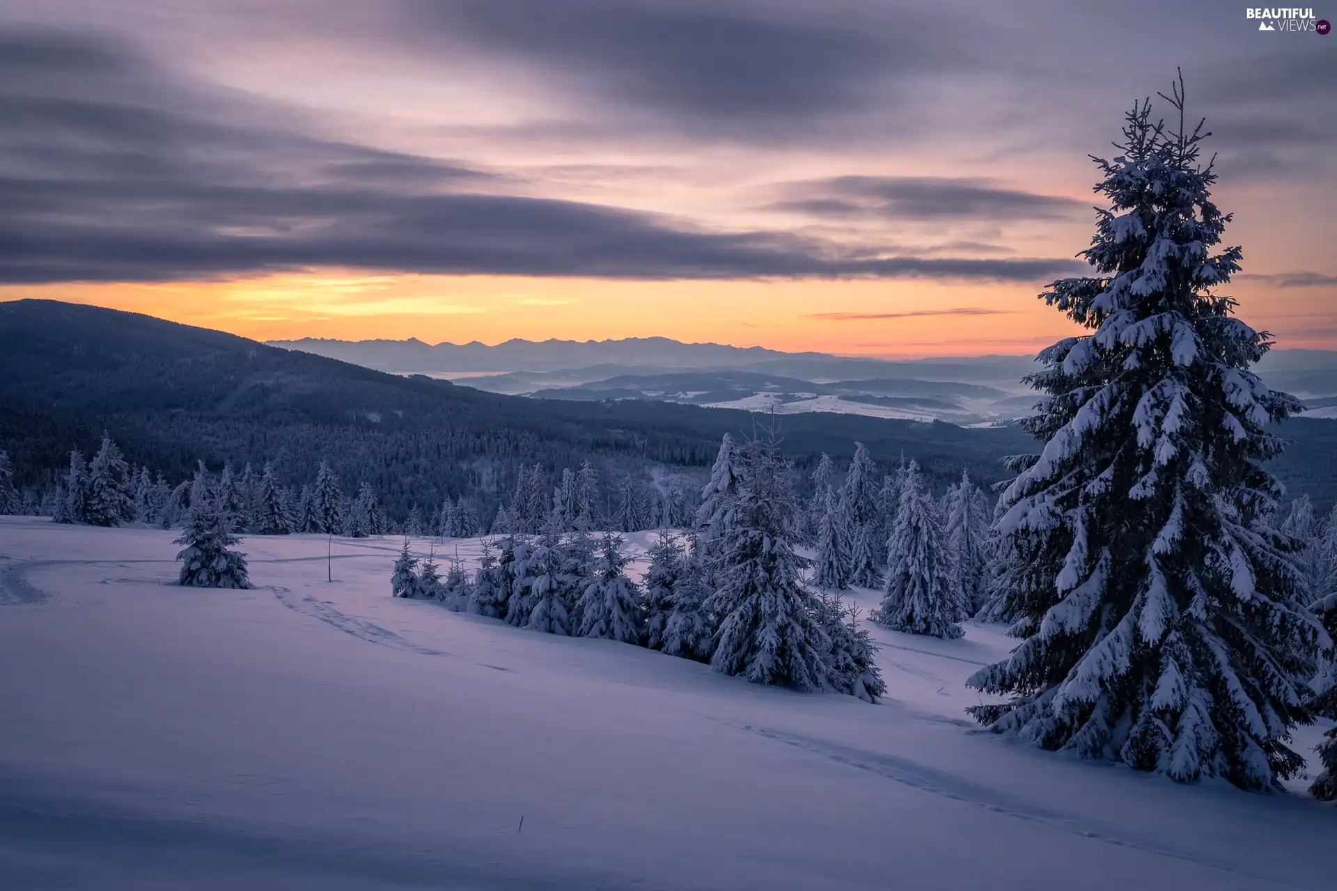 Great Sunsets, Mountains, trees, viewes, winter