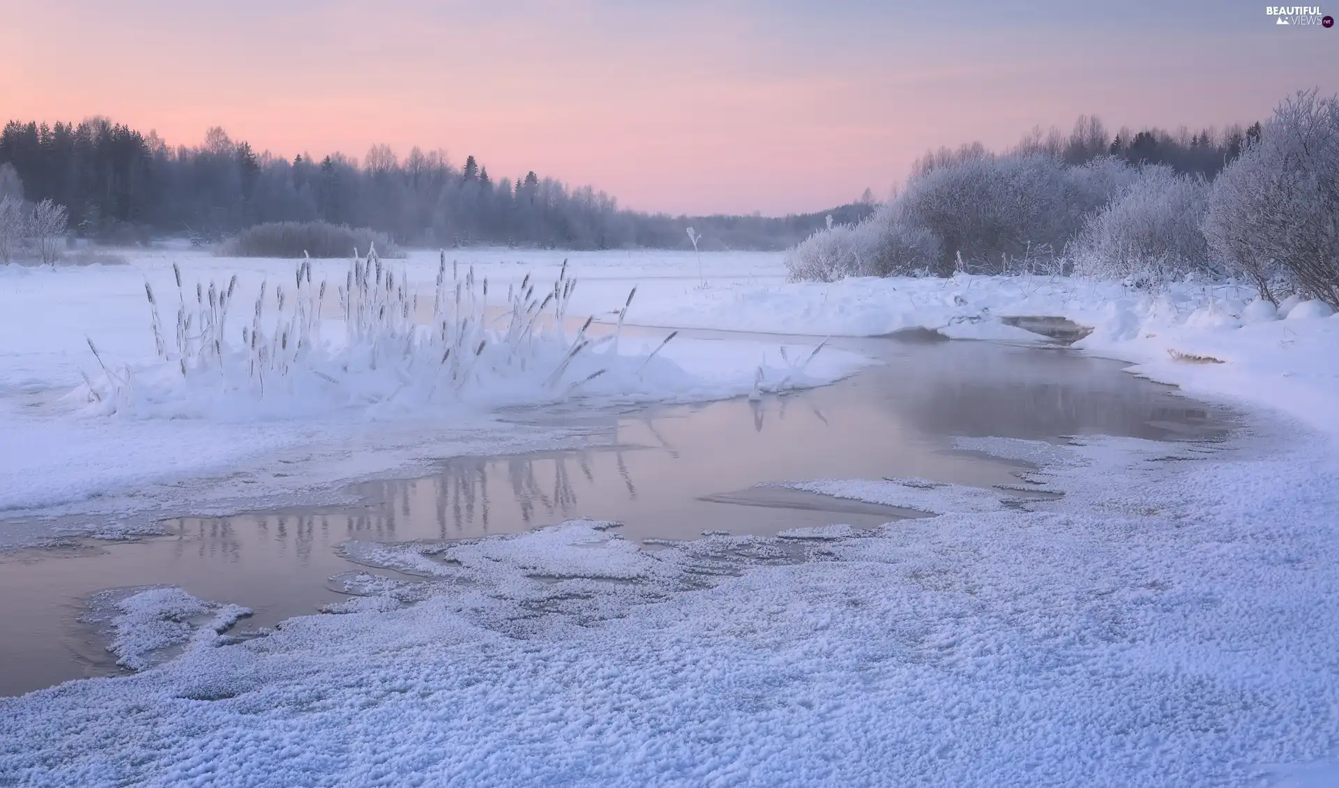 trees, viewes, Russia, Frost, Karelia, River, winter, White frost