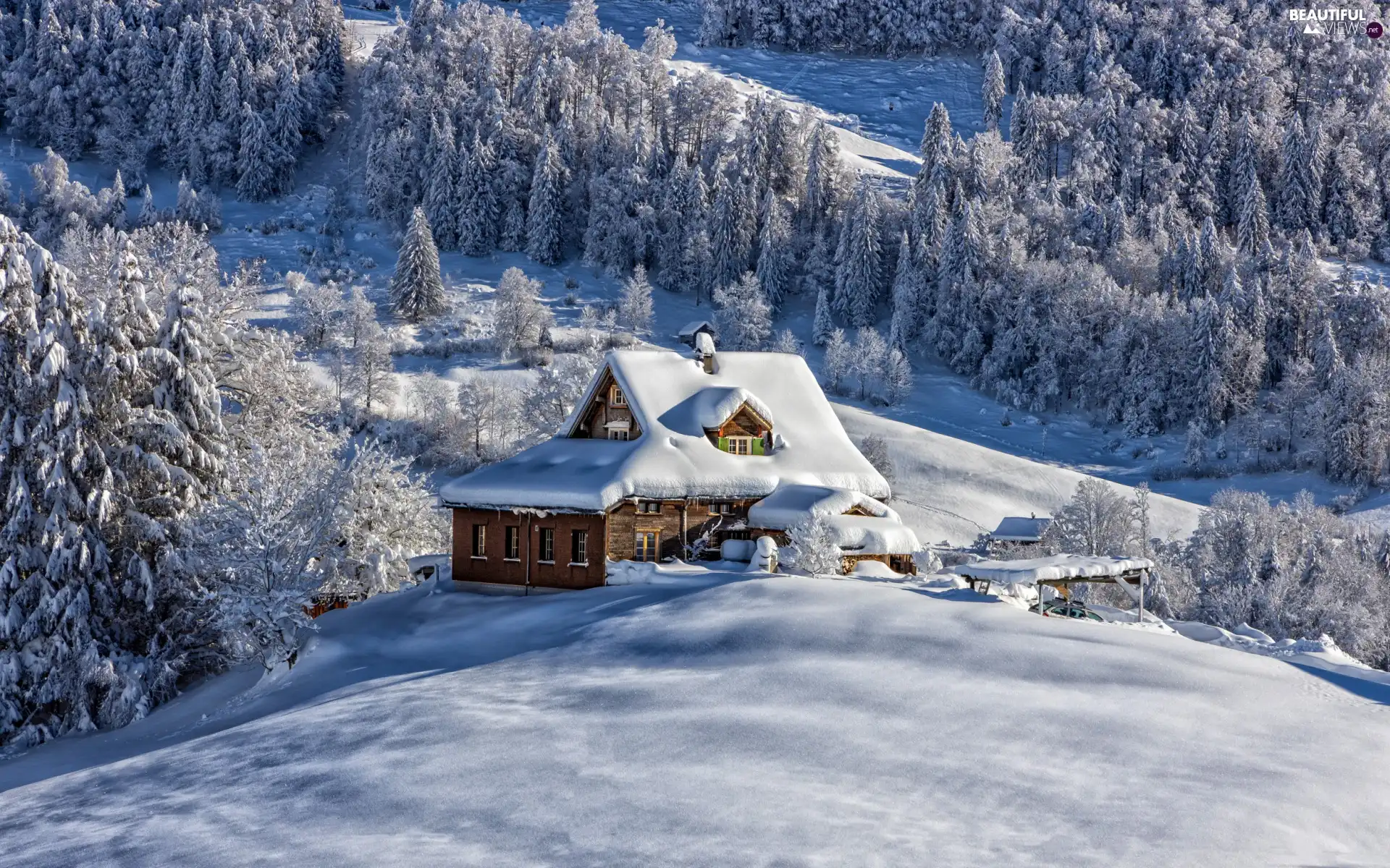 viewes, snow, woods, trees, winter, Mountains, house