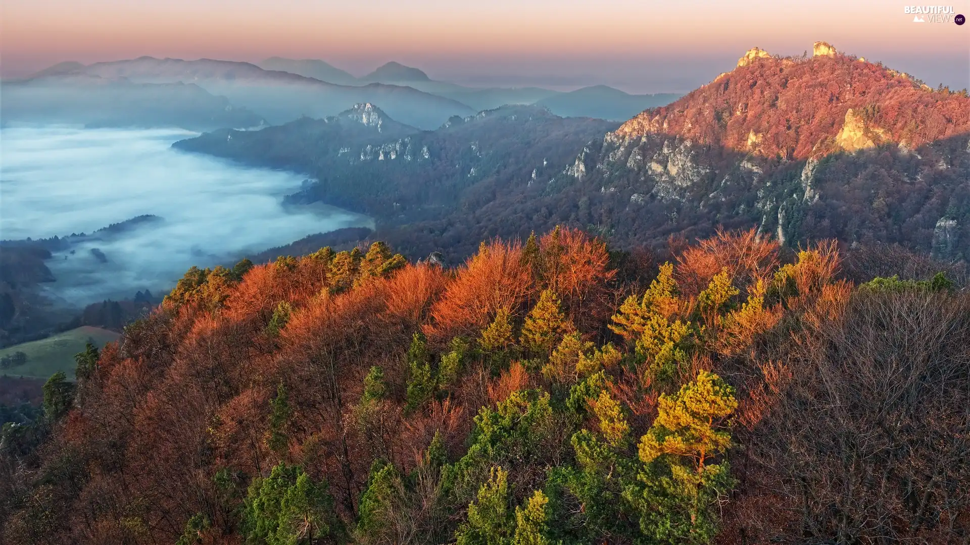 Fog, Valley, woods, color, viewes, autumn, Mountains, trees