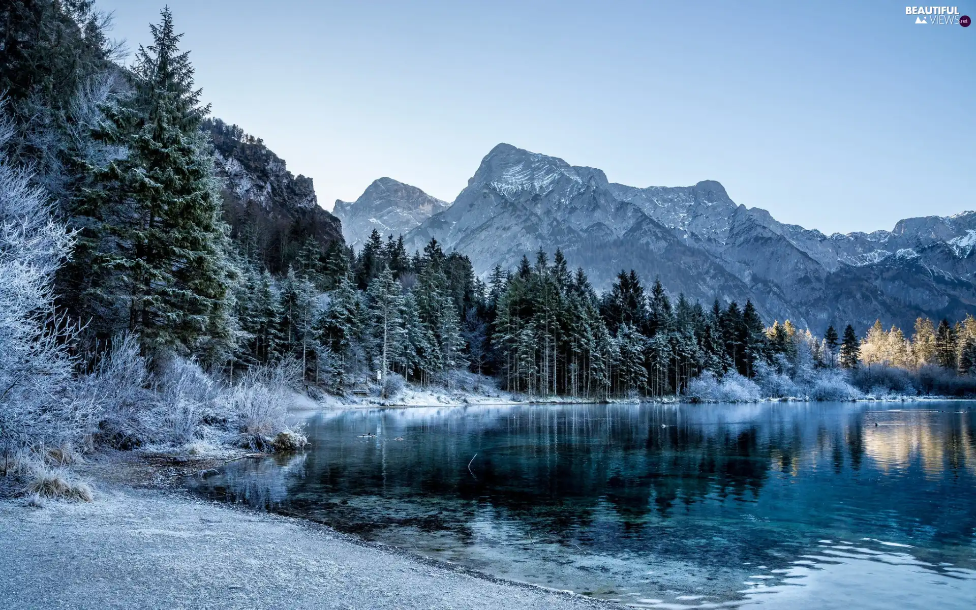 viewes, winter, woods, trees, Mountains, lake, Spruces