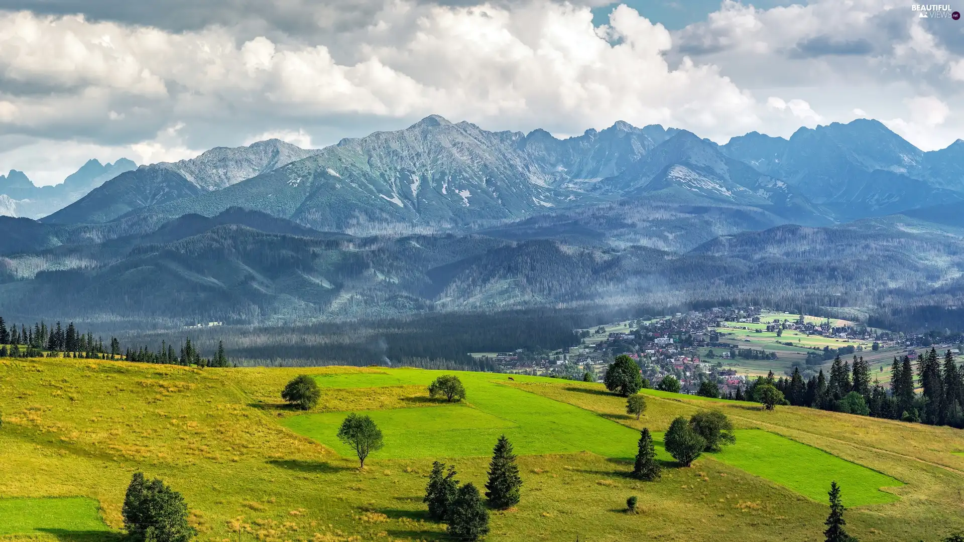 viewes, Tatras, Zakopane, trees, Mountains, Valley, Poland