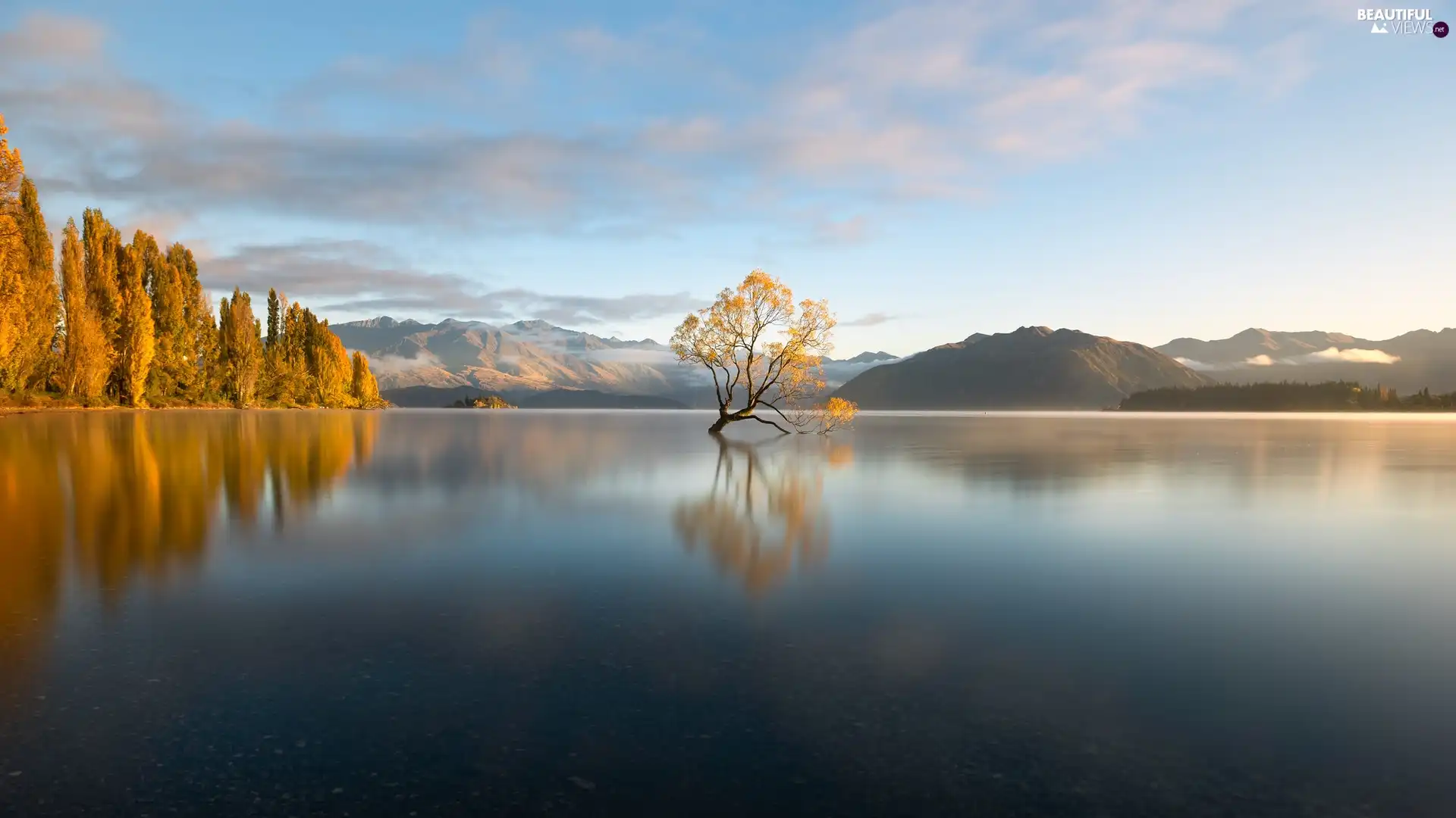 autumn, New Zeland, trees, Mountains, Wanaka Lake