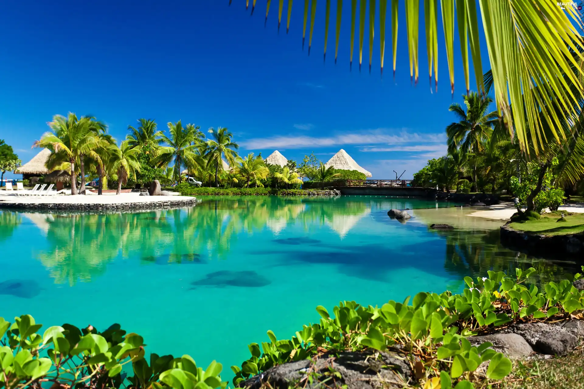 Tropical, Beaches, bridge, Palms, Gulf