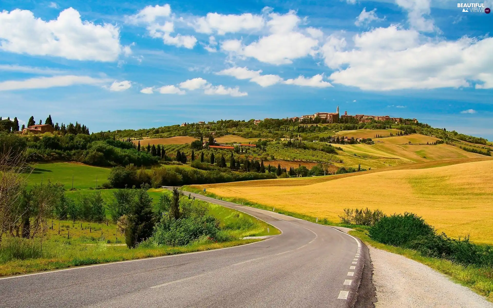 Tuscany, Italy, field, summer, Way