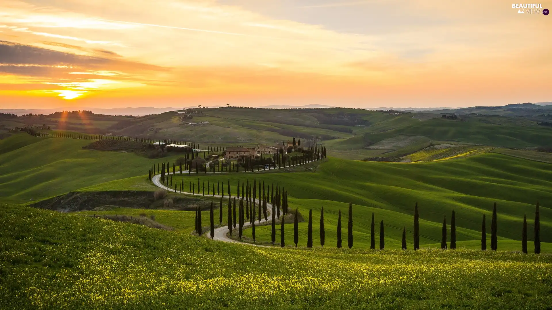Tuscany, Italy, The Hills, trees, cypresses, Sunrise, Houses, Way, viewes