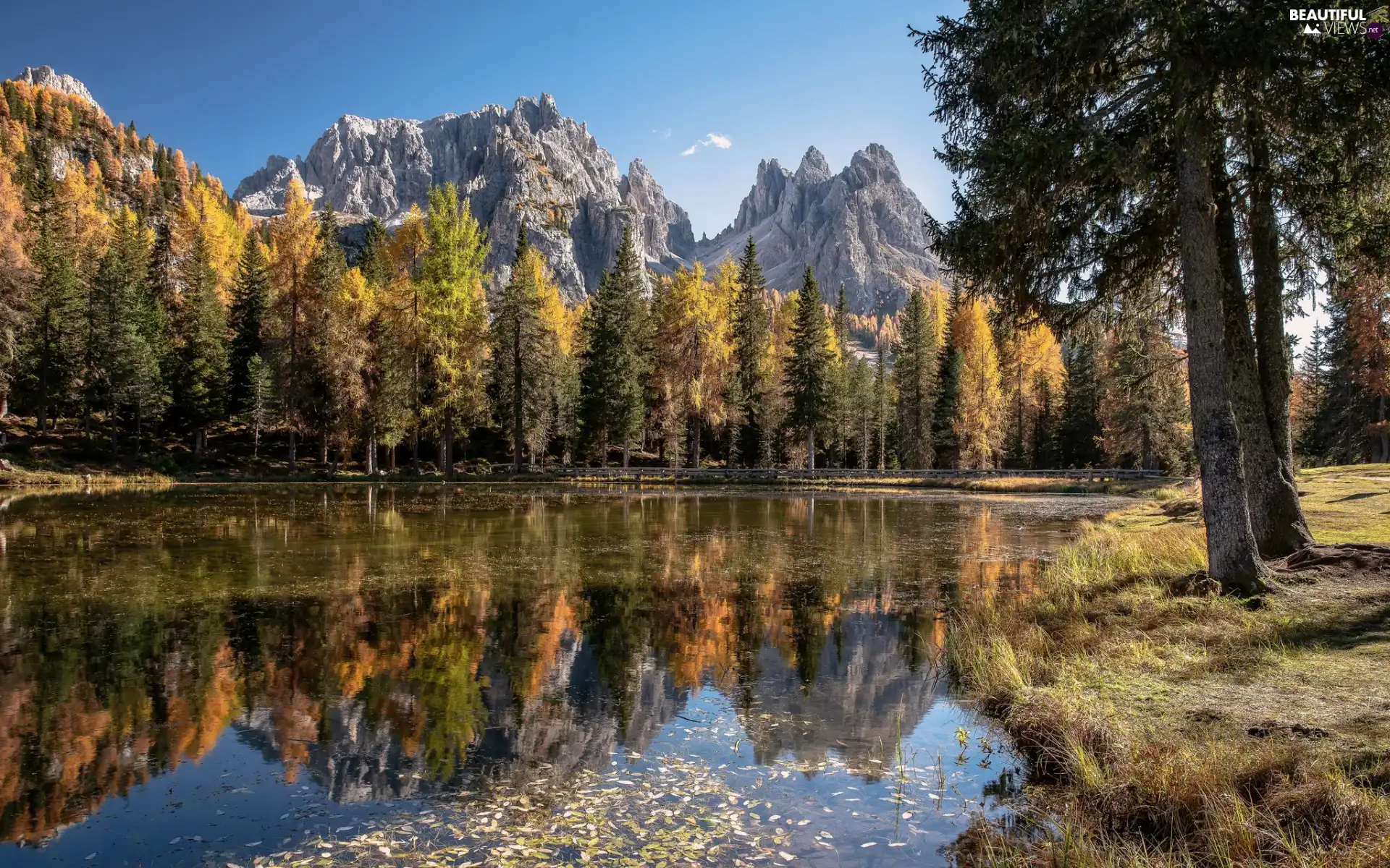 grass, reflection, South Tyrol, viewes, trees, Dolomites, lake, autumn, Italy, Spruces, forest, Mountains